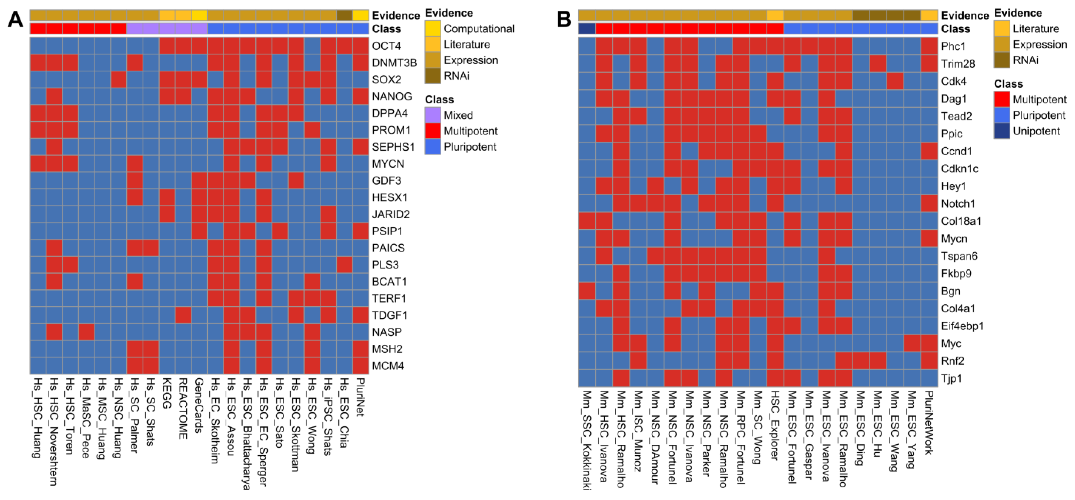 Genes 14 00745 g001