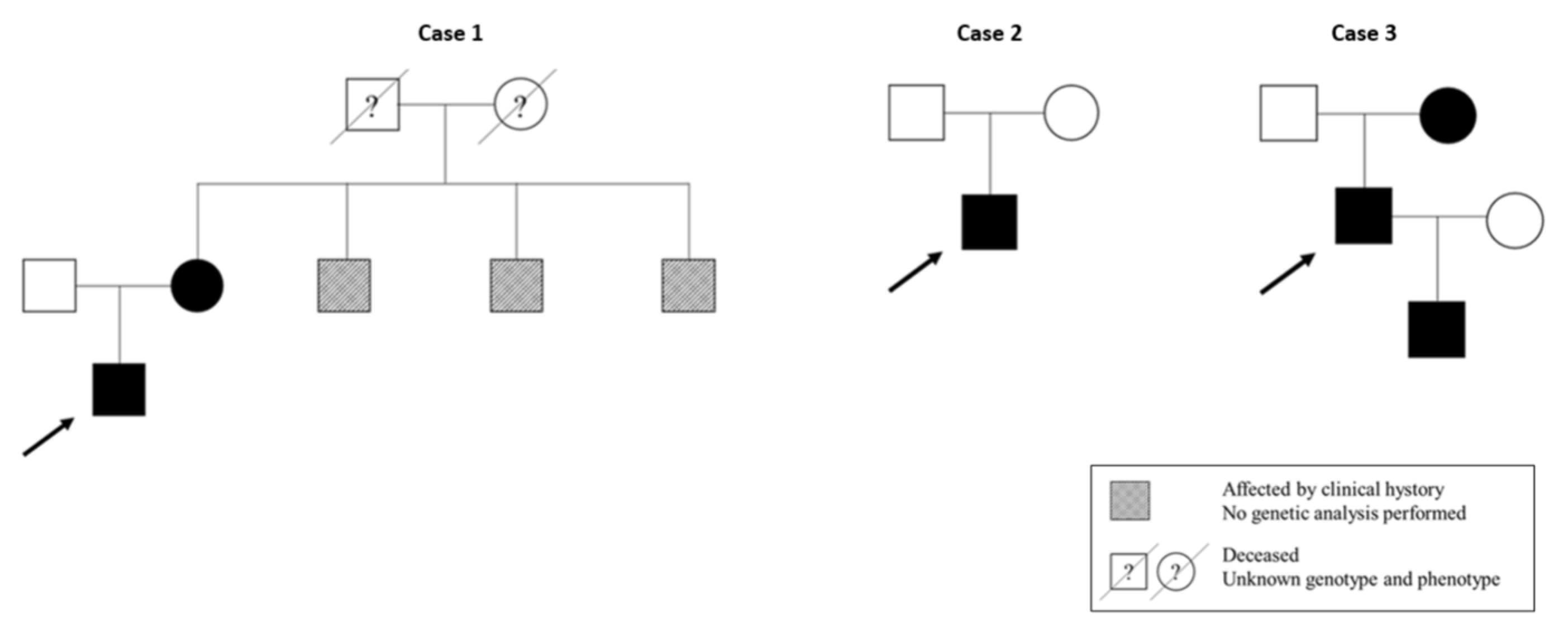 Genes 14 00764 g003 Genes 14 00764 g003