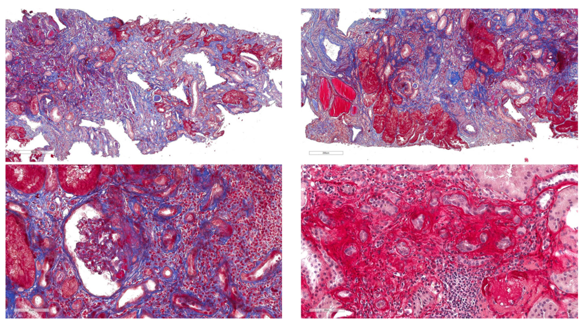 Genes 14 00764 g004 Genes 14 00764 g004