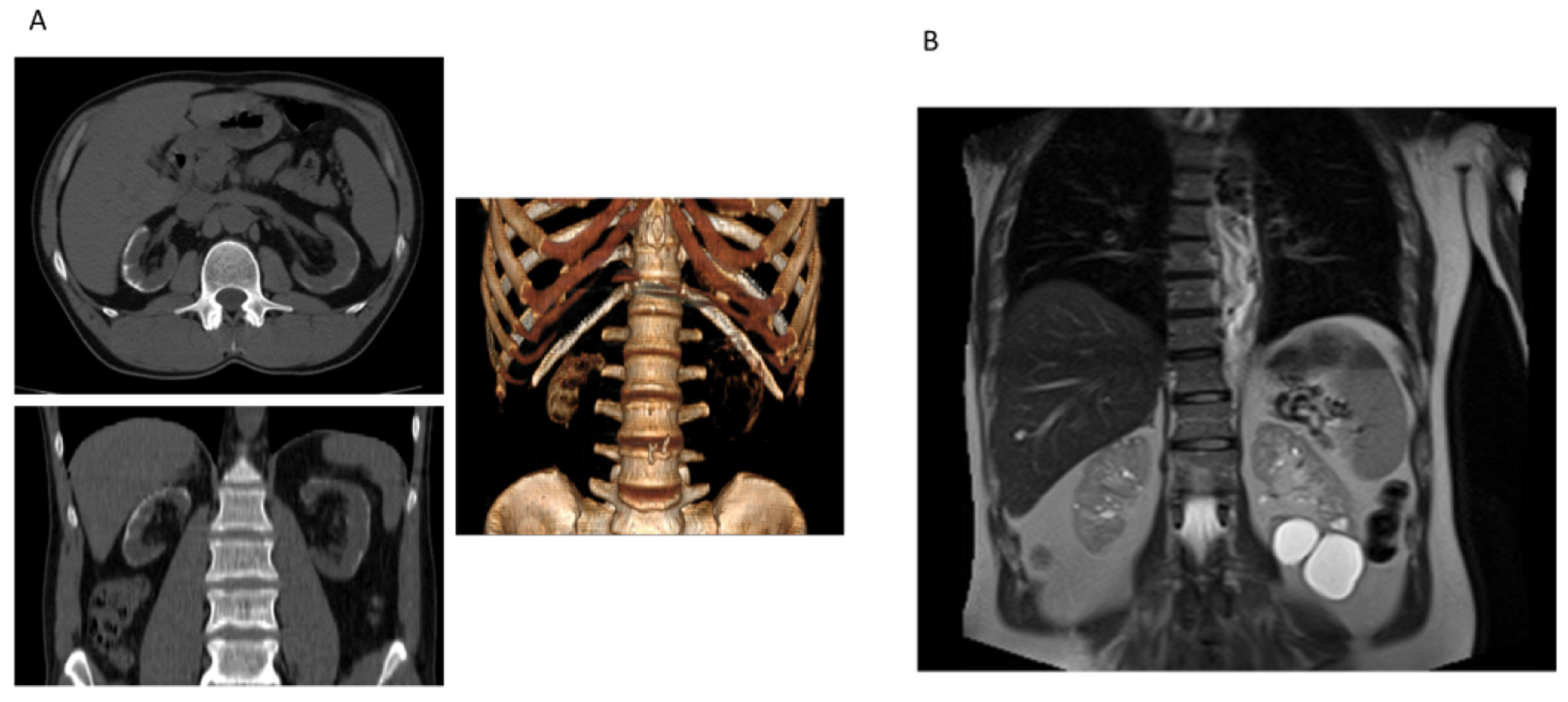 Genes 14 00764 g005 Genes 14 00764 g005