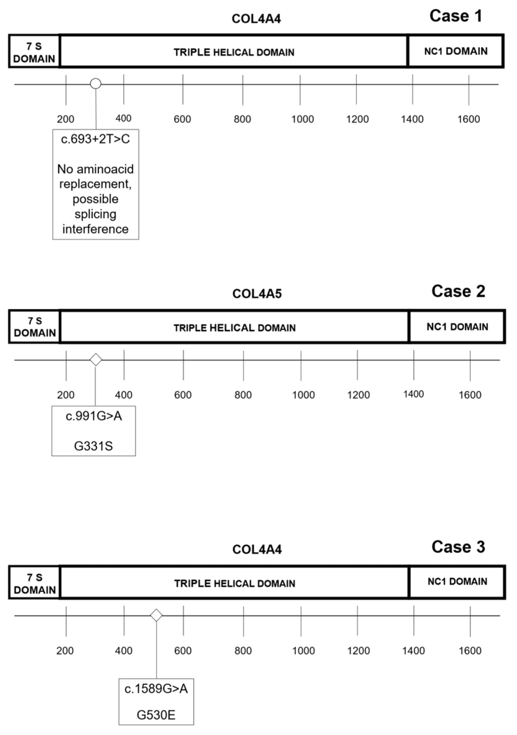 Genes 14 00764 g006 Genes 14 00764 g006