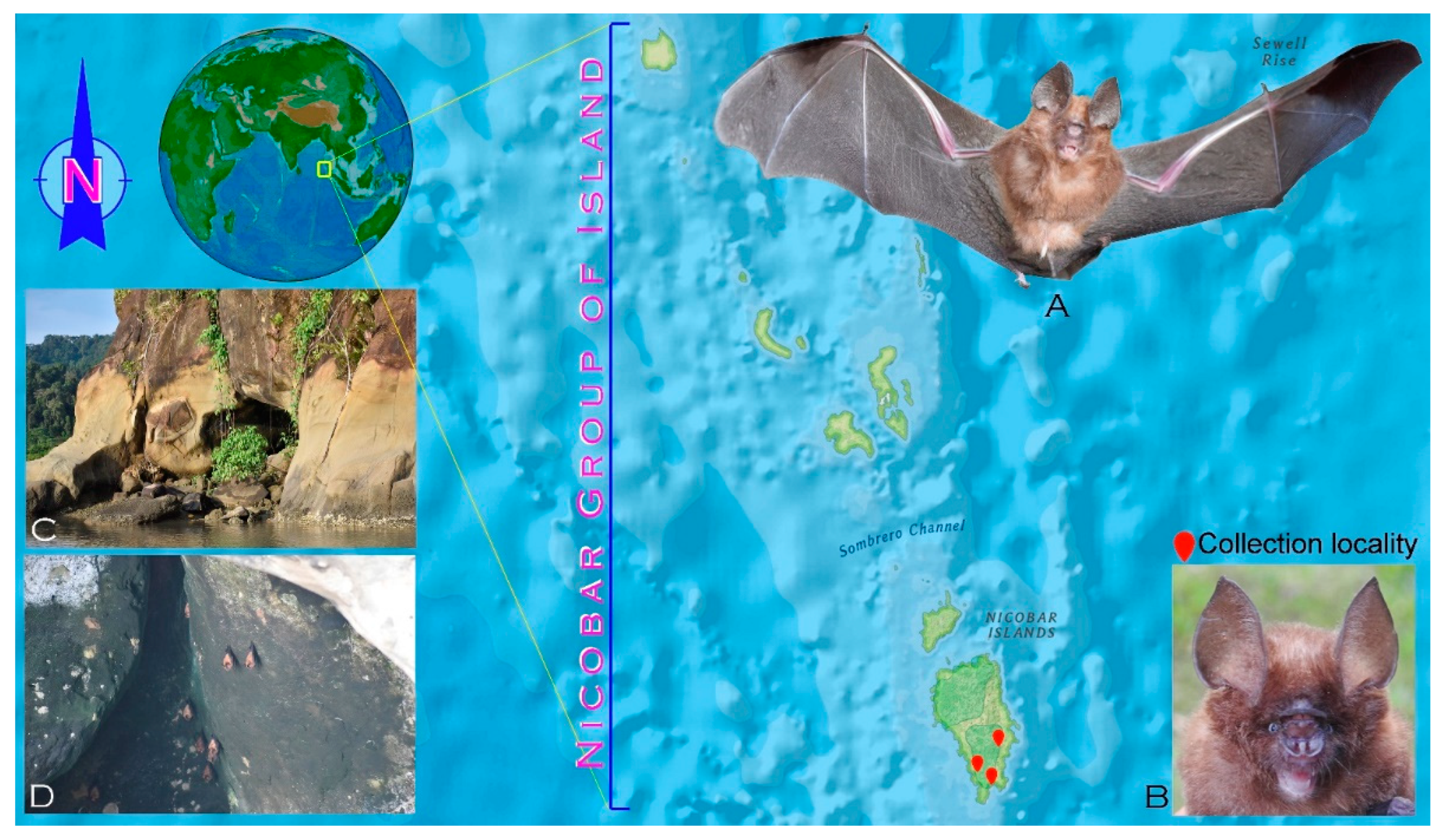 Genes 14 00765 g001 Genes 14 00765 g001