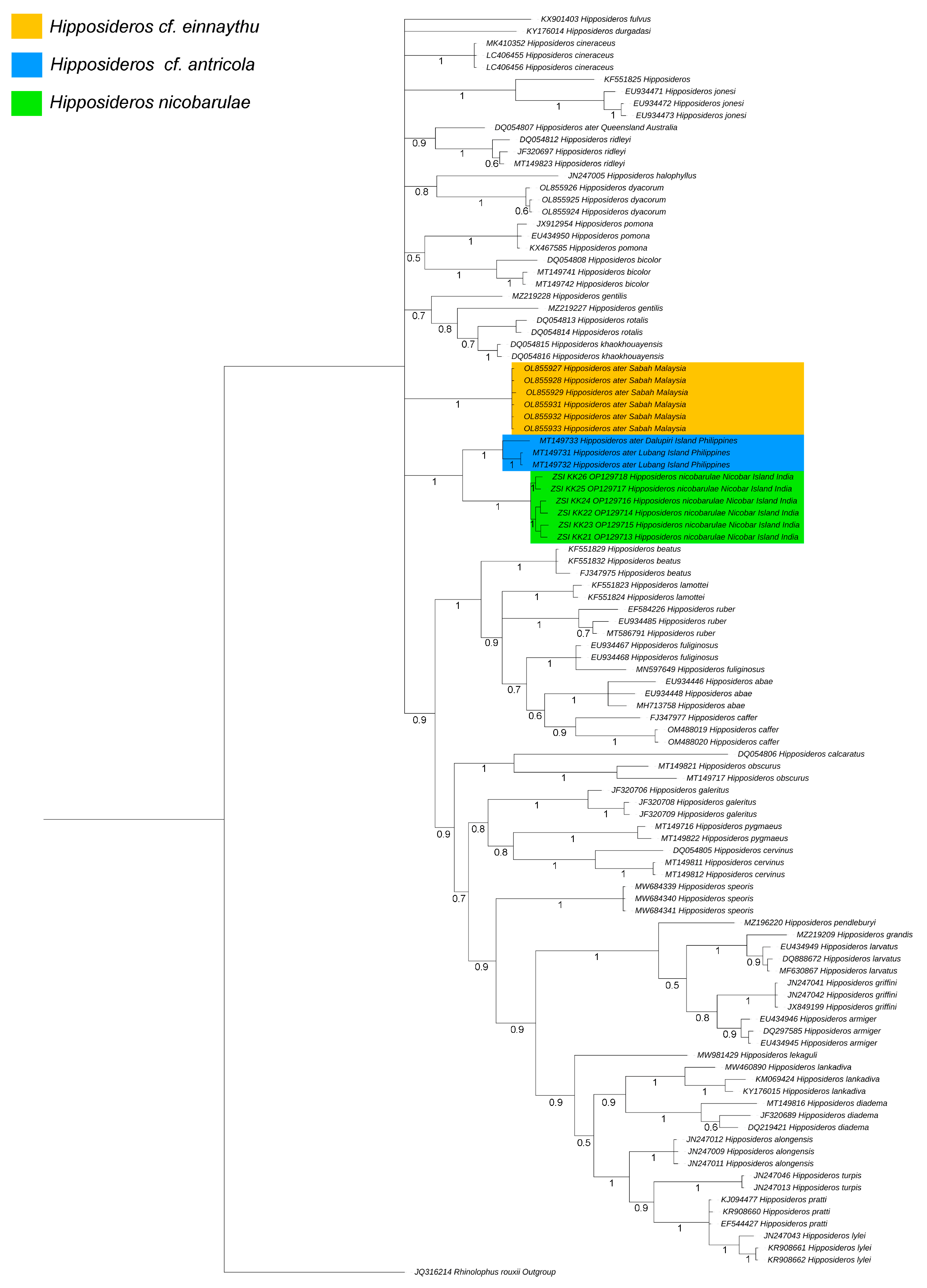 Genes 14 00765 g003 Genes 14 00765 g003