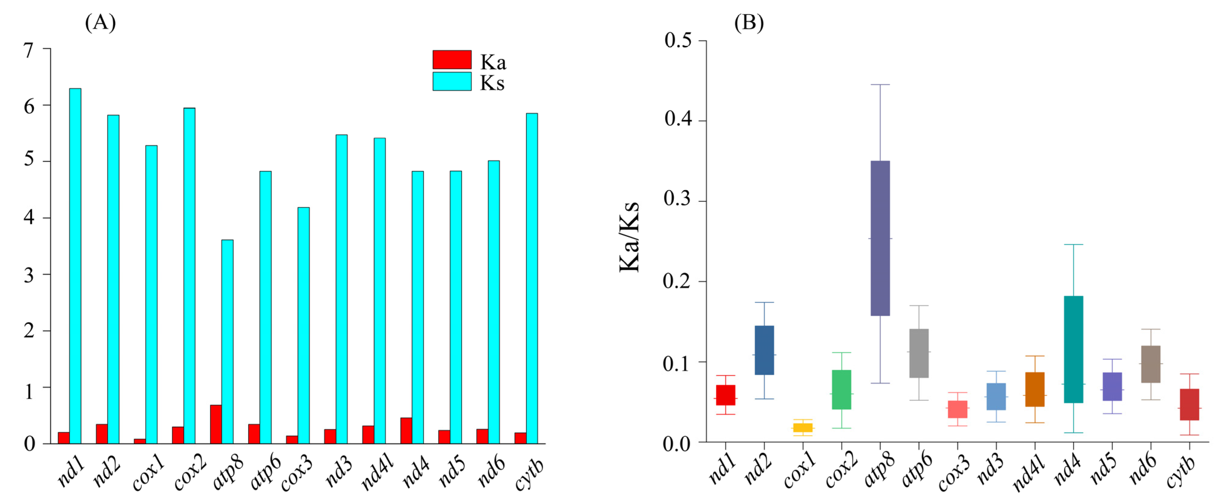 Genes 14 00768 g004 Genes 14 00768 g004