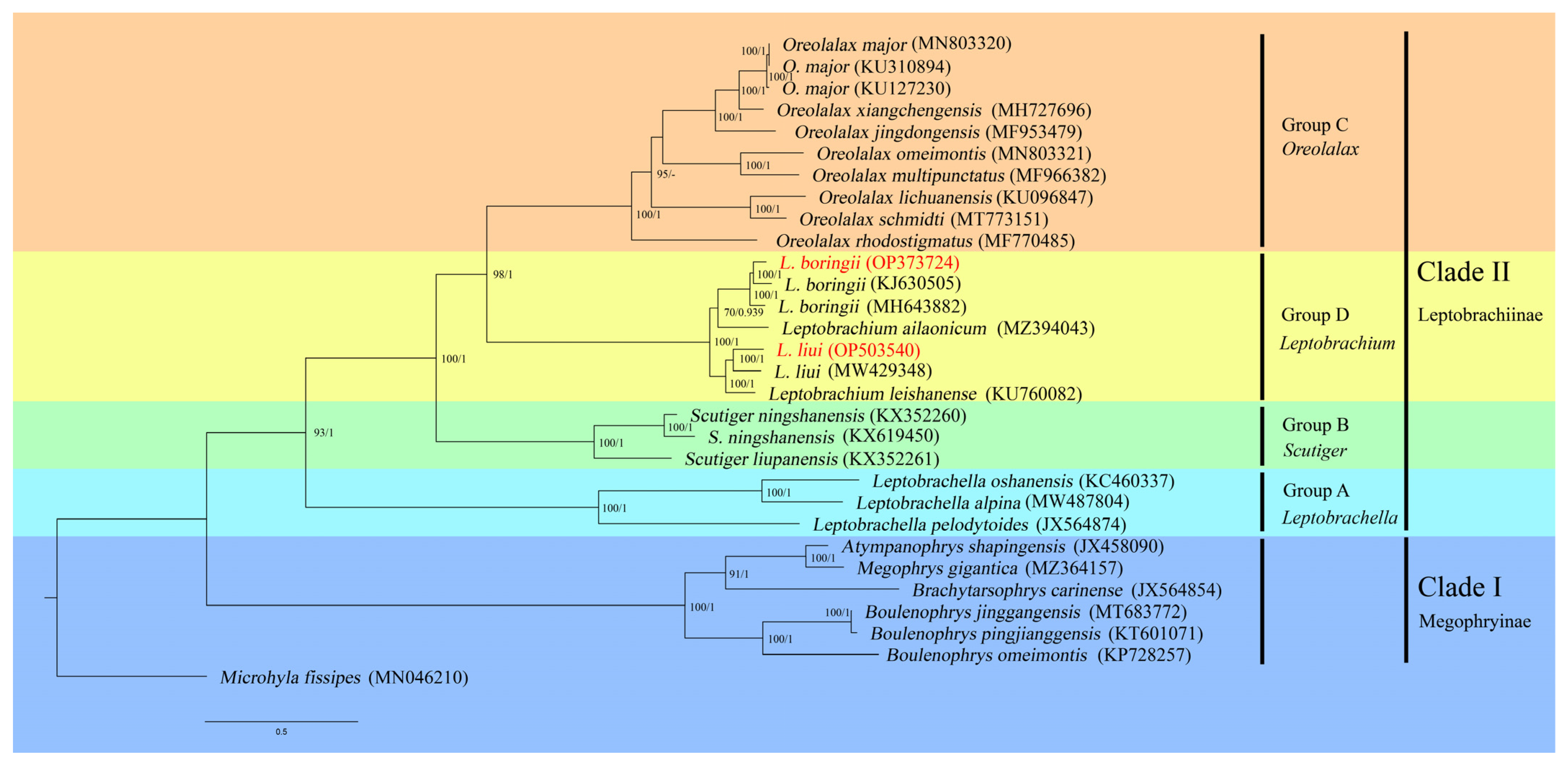 Genes 14 00768 g006 Genes 14 00768 g006