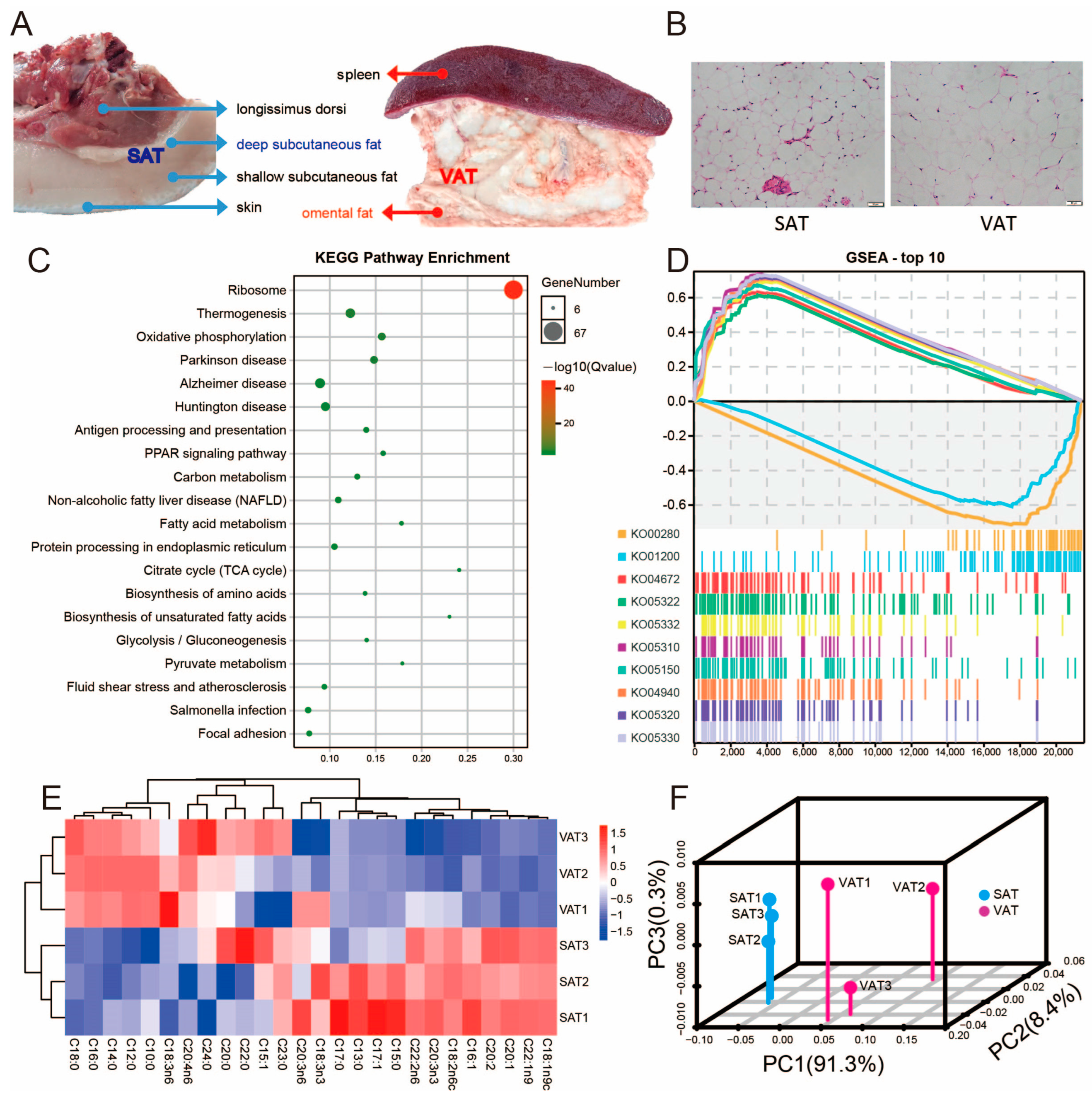 Genes 14 00782 g001 Genes 14 00782 g001