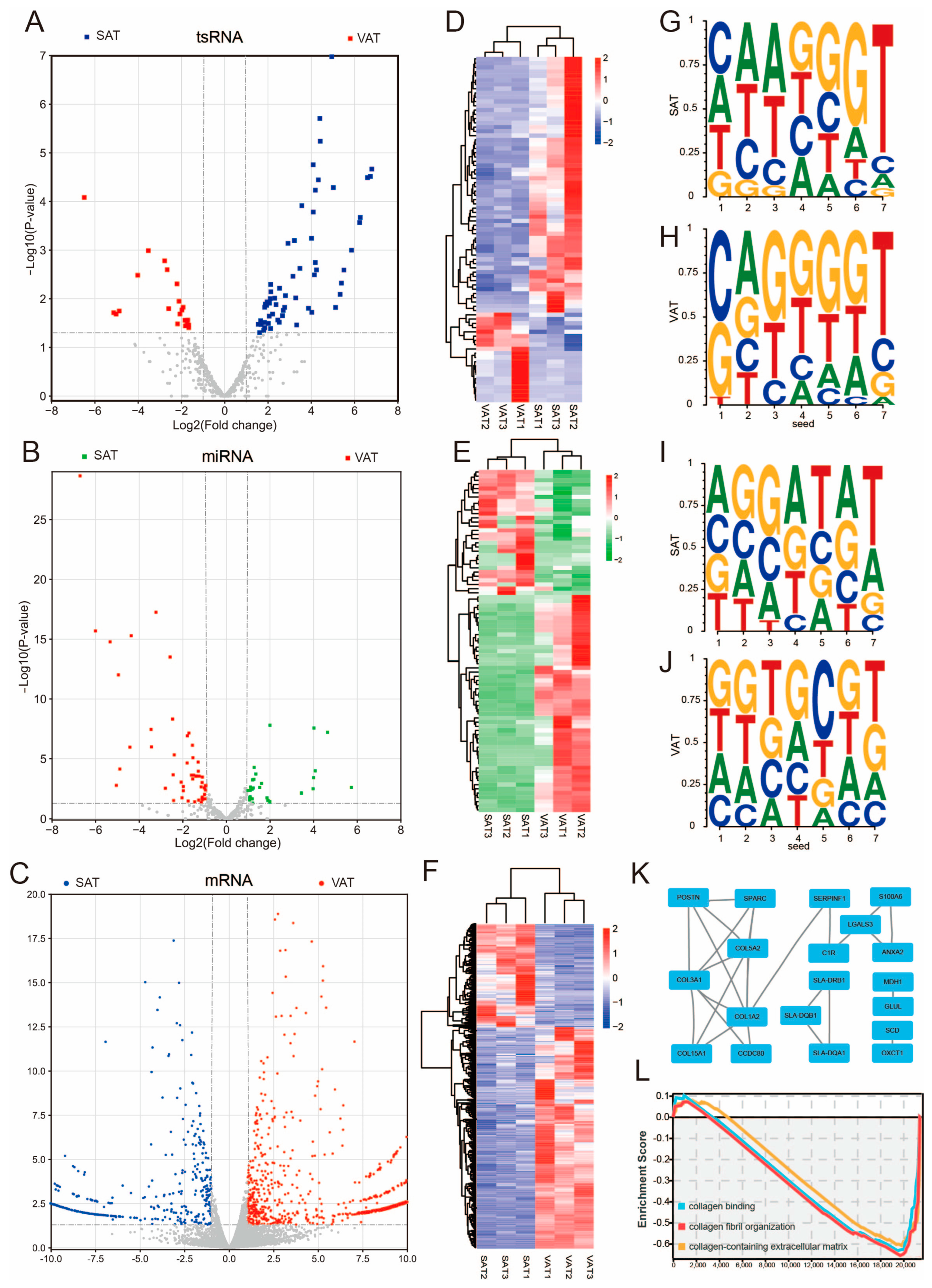 Genes 14 00782 g004 Genes 14 00782 g004