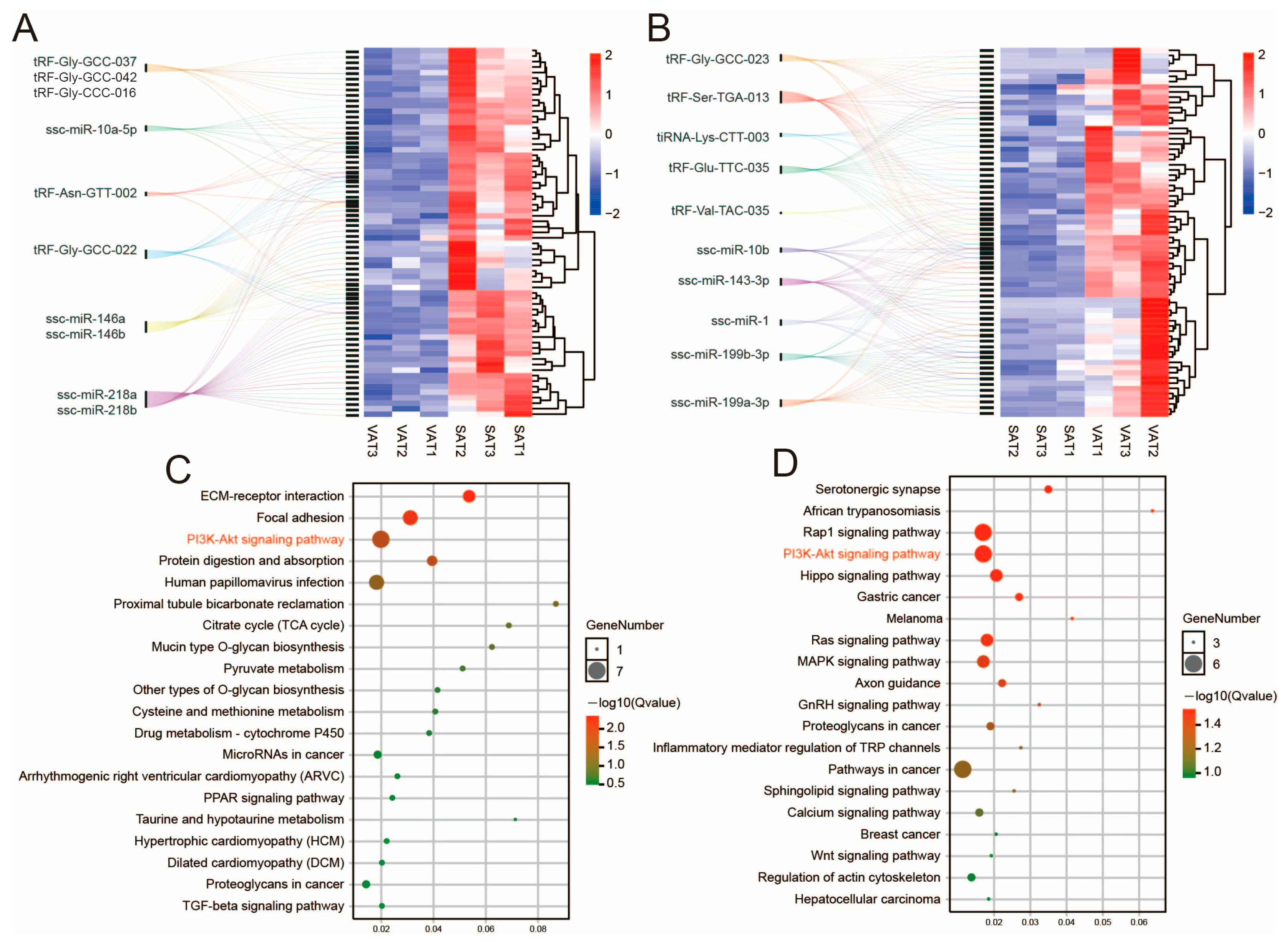 Genes 14 00782 g005 Genes 14 00782 g005
