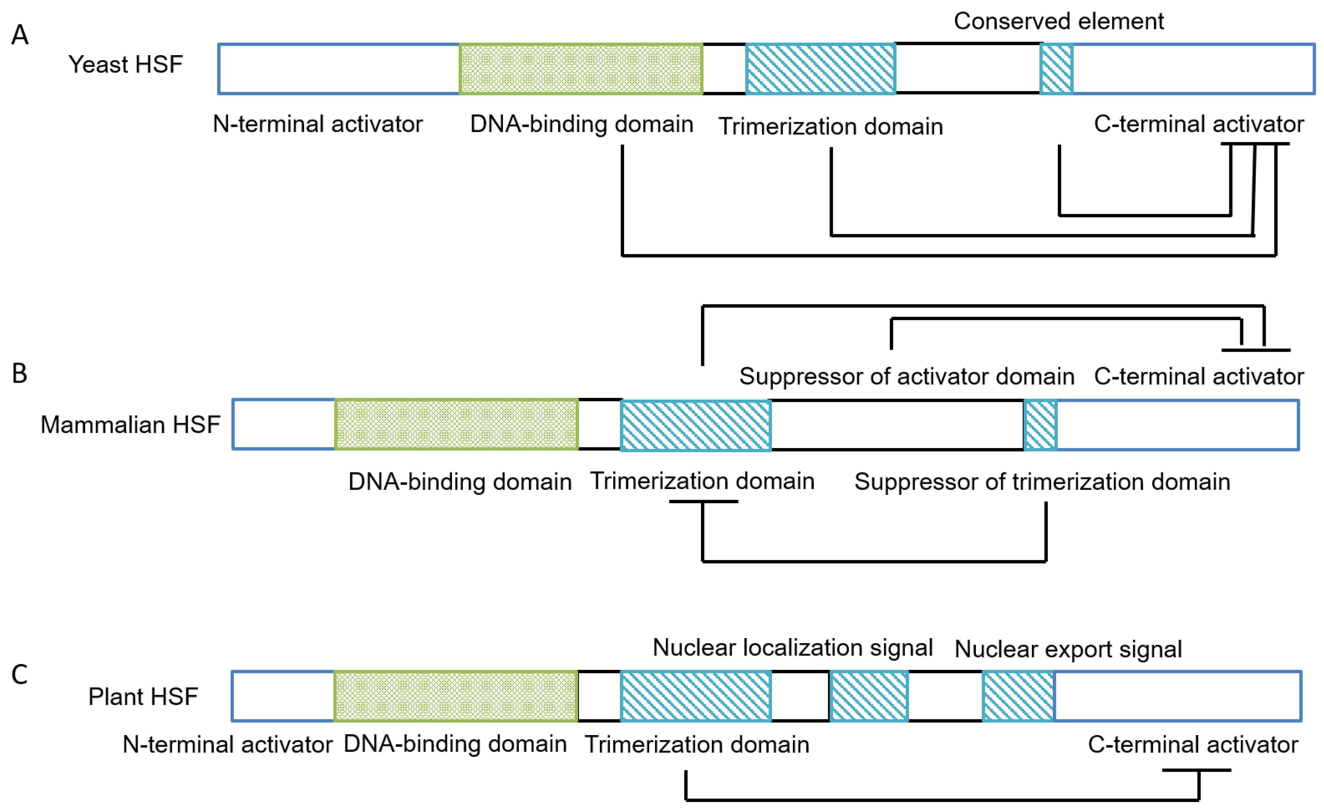 Genes 14 00792 g002 Genes 14 00792 g002