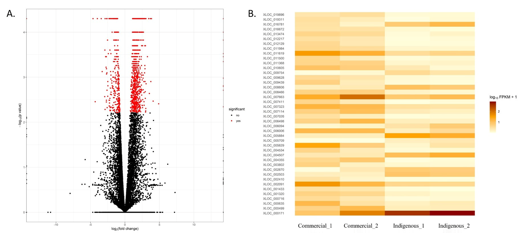 Genes 14 00793 g002 Genes 14 00793 g002
