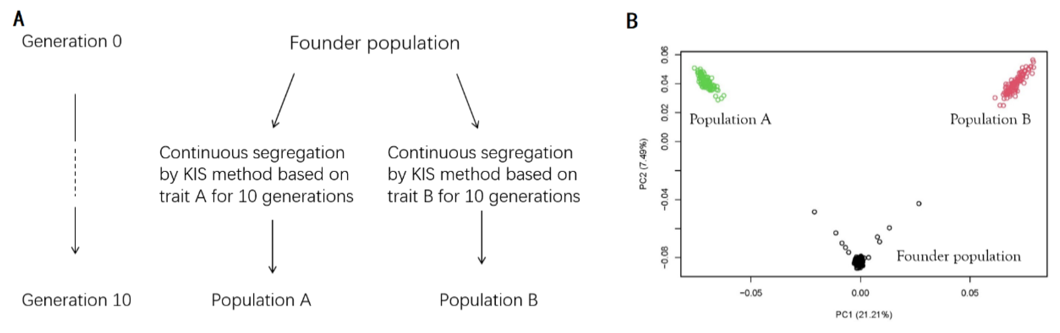 Genes 14 00807 g002 Genes 14 00807 g002