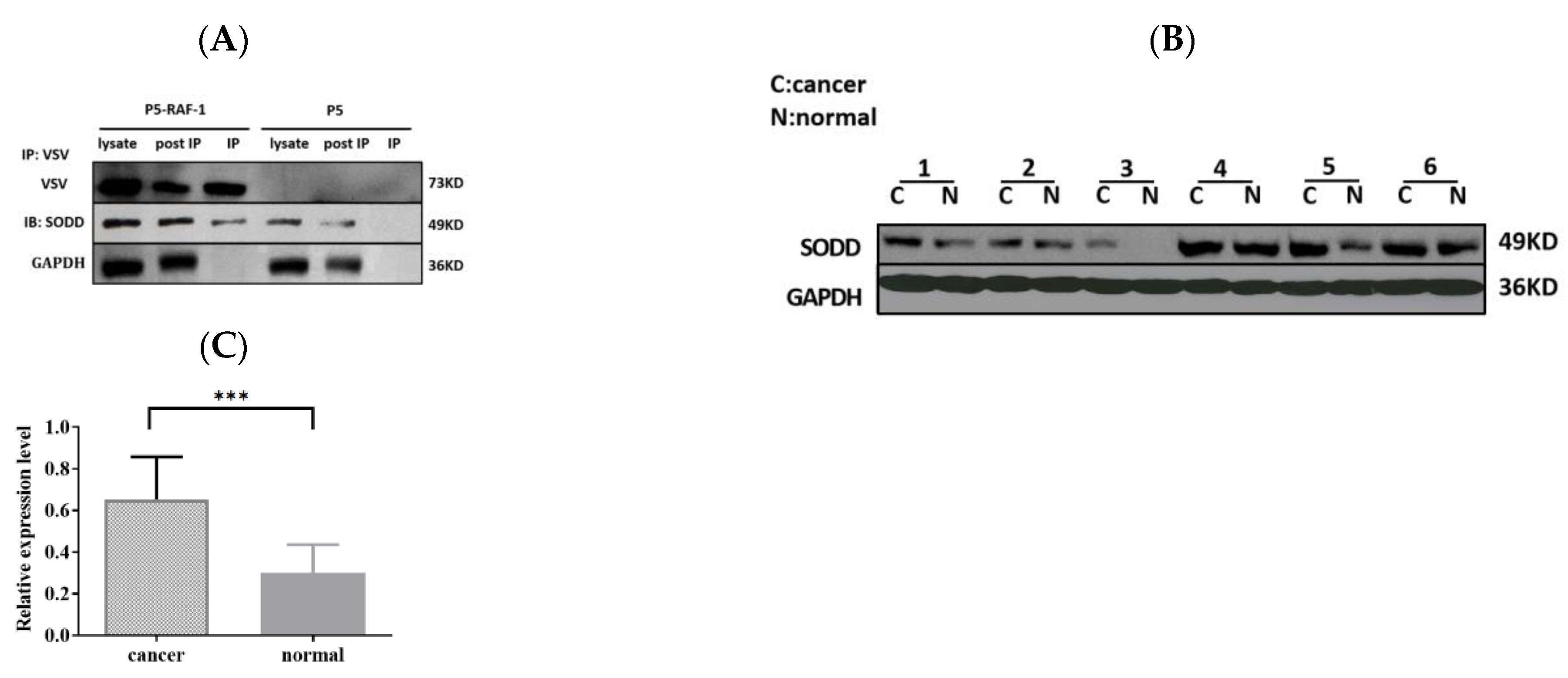 Genes 14 00829 g001