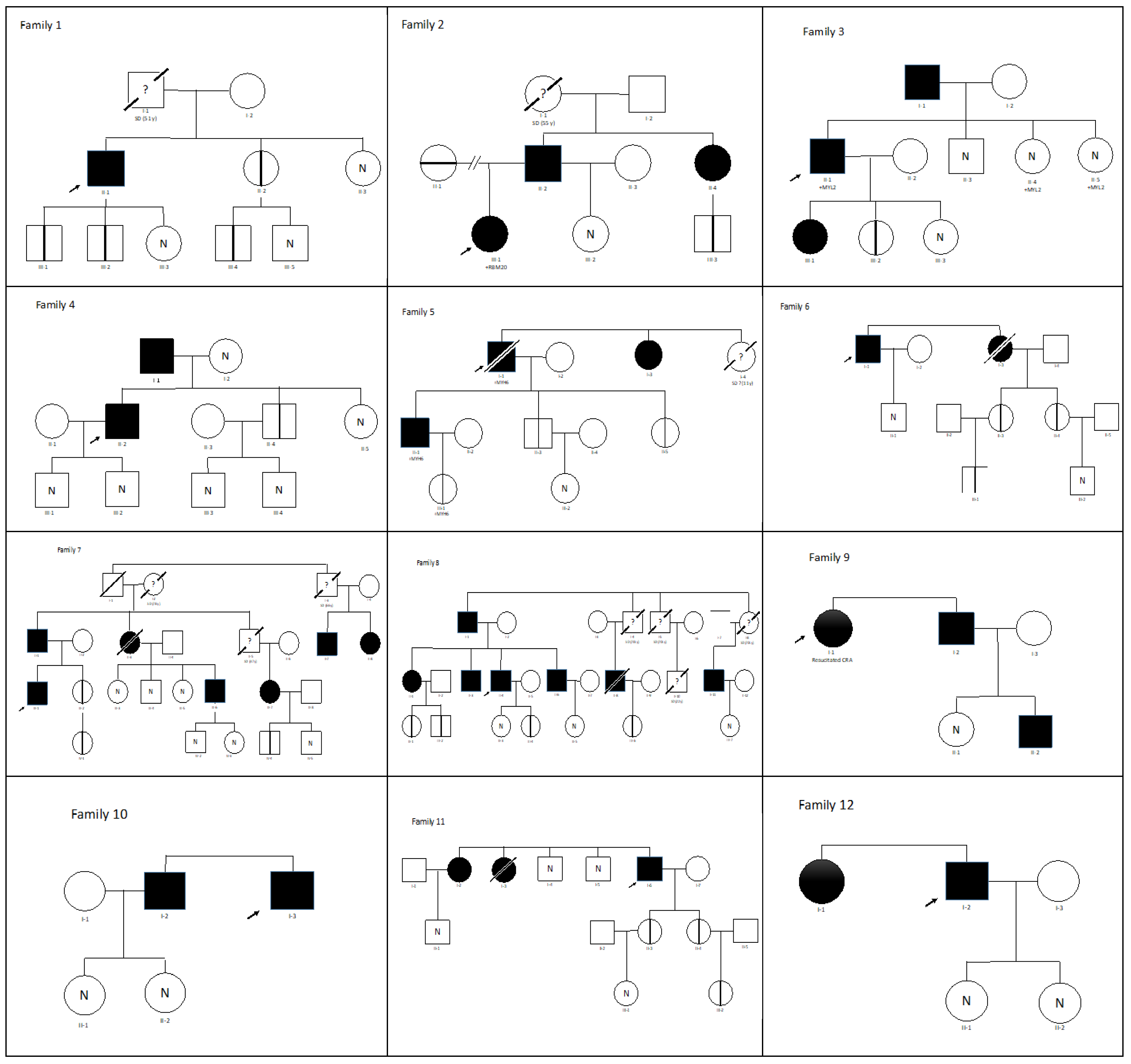Genes 14 00840 g002a