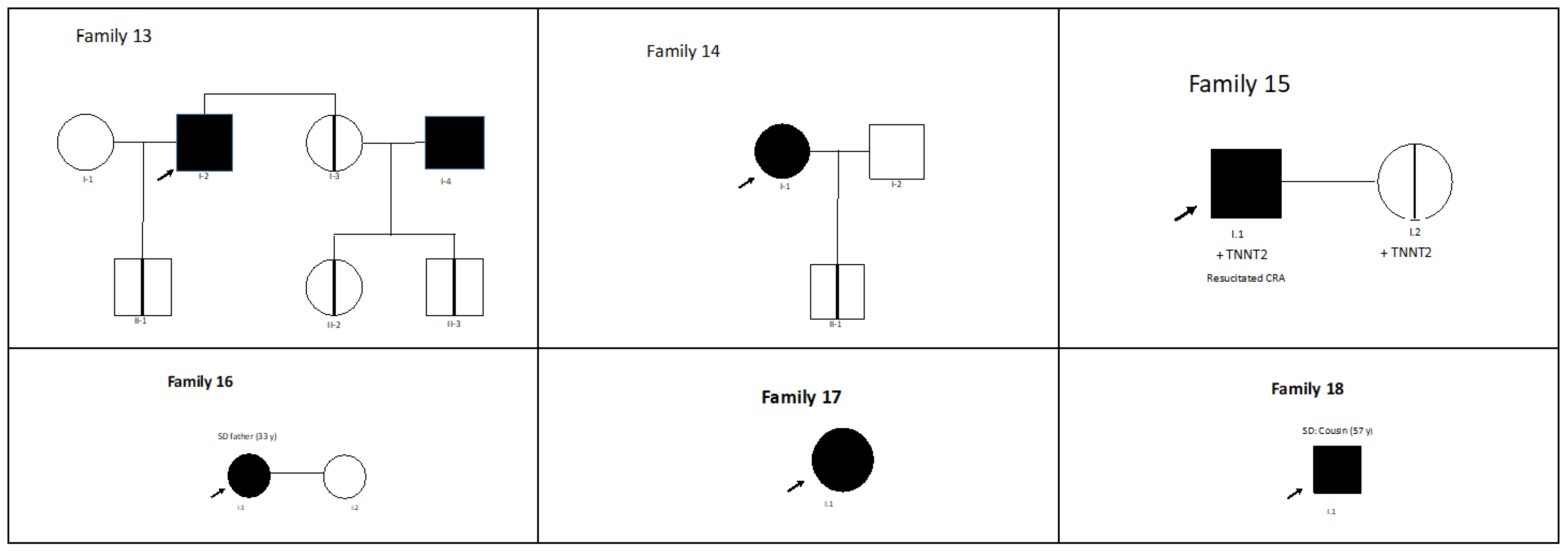 Genes 14 00840 g002b