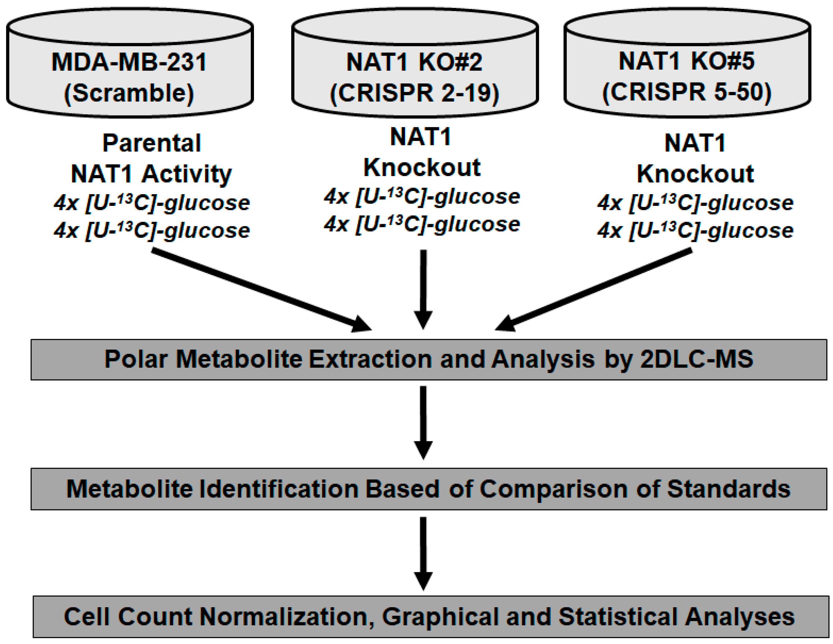 Genes 14 00843 g001