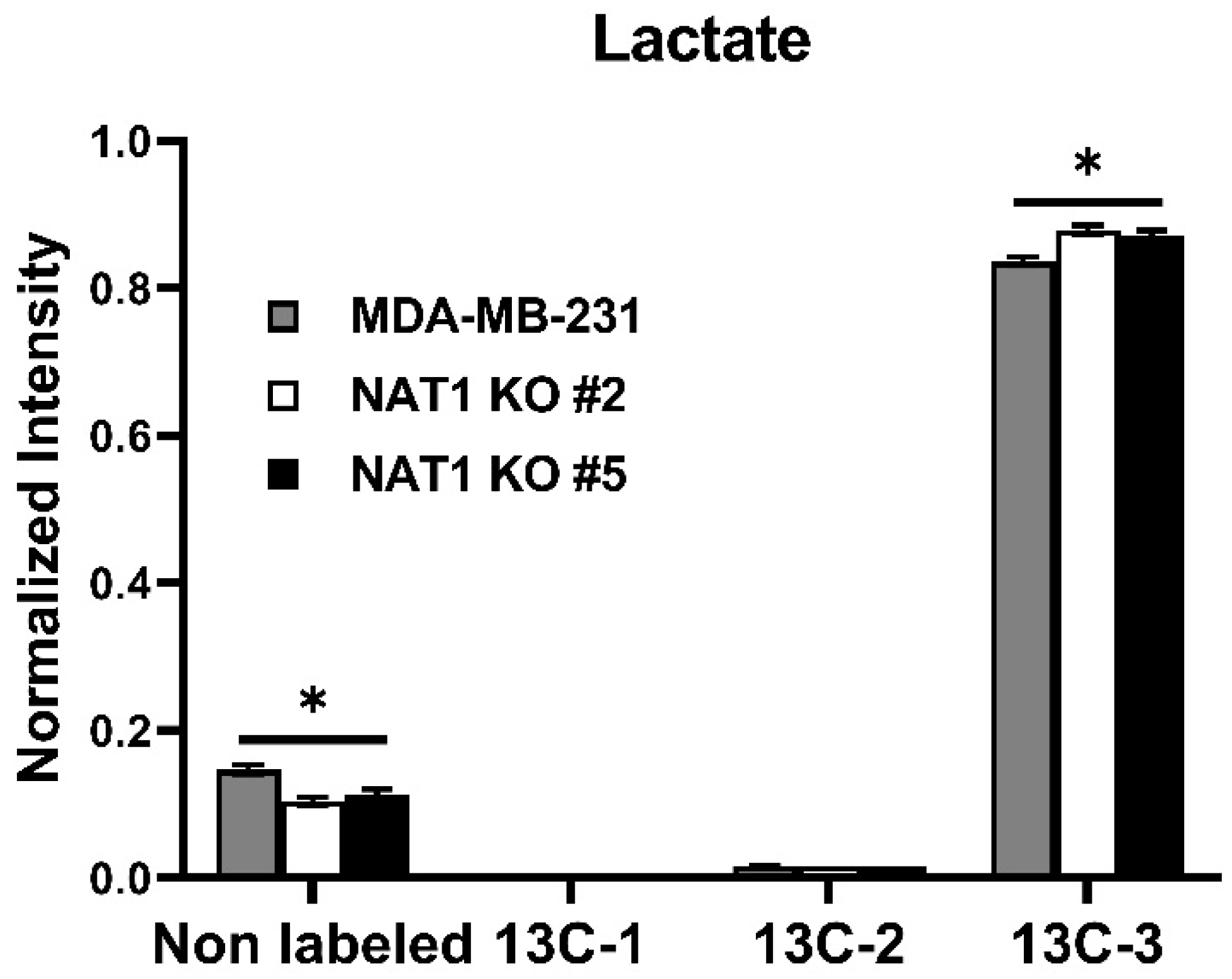 Genes 14 00843 g004