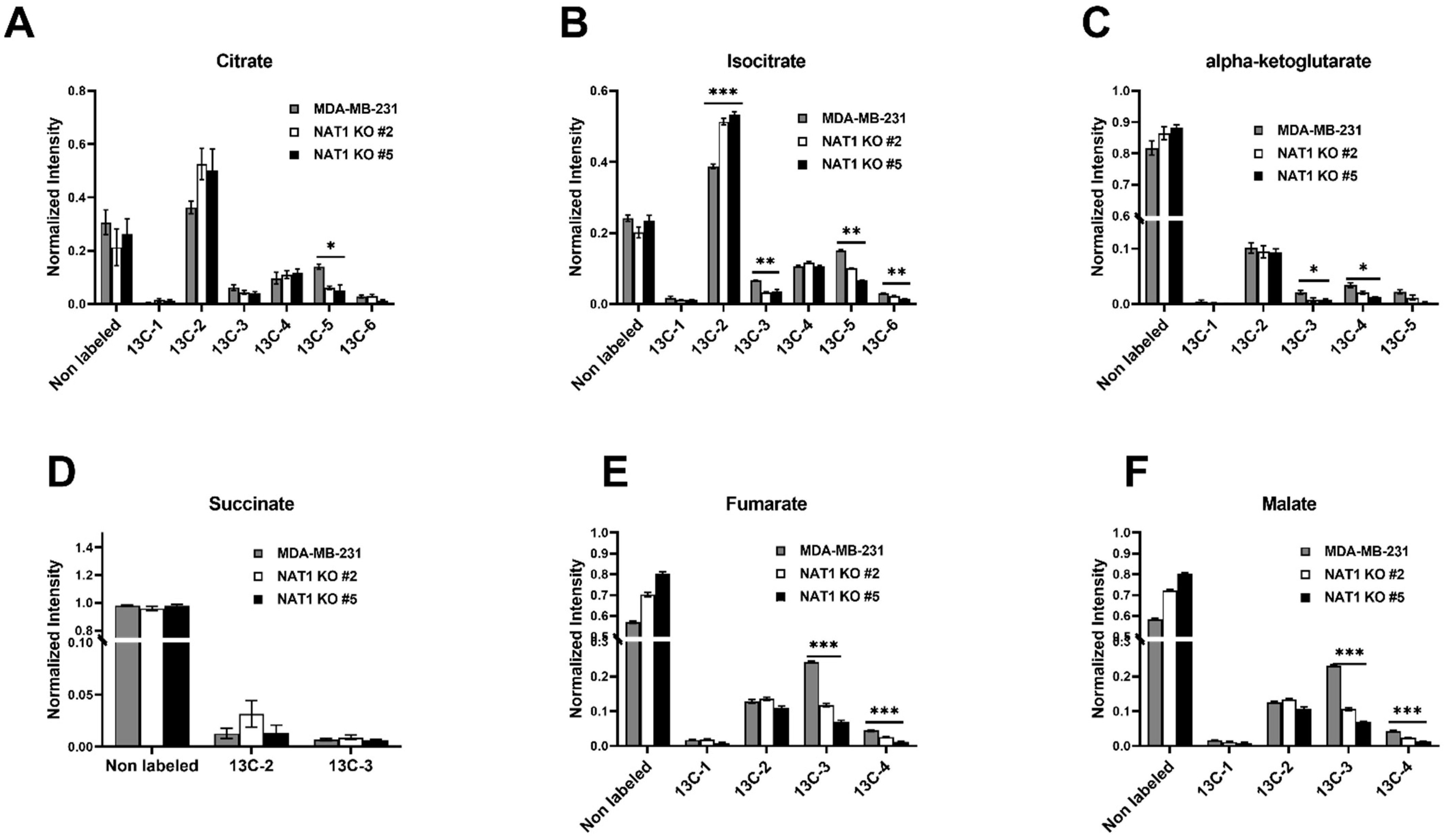 Genes 14 00843 g005