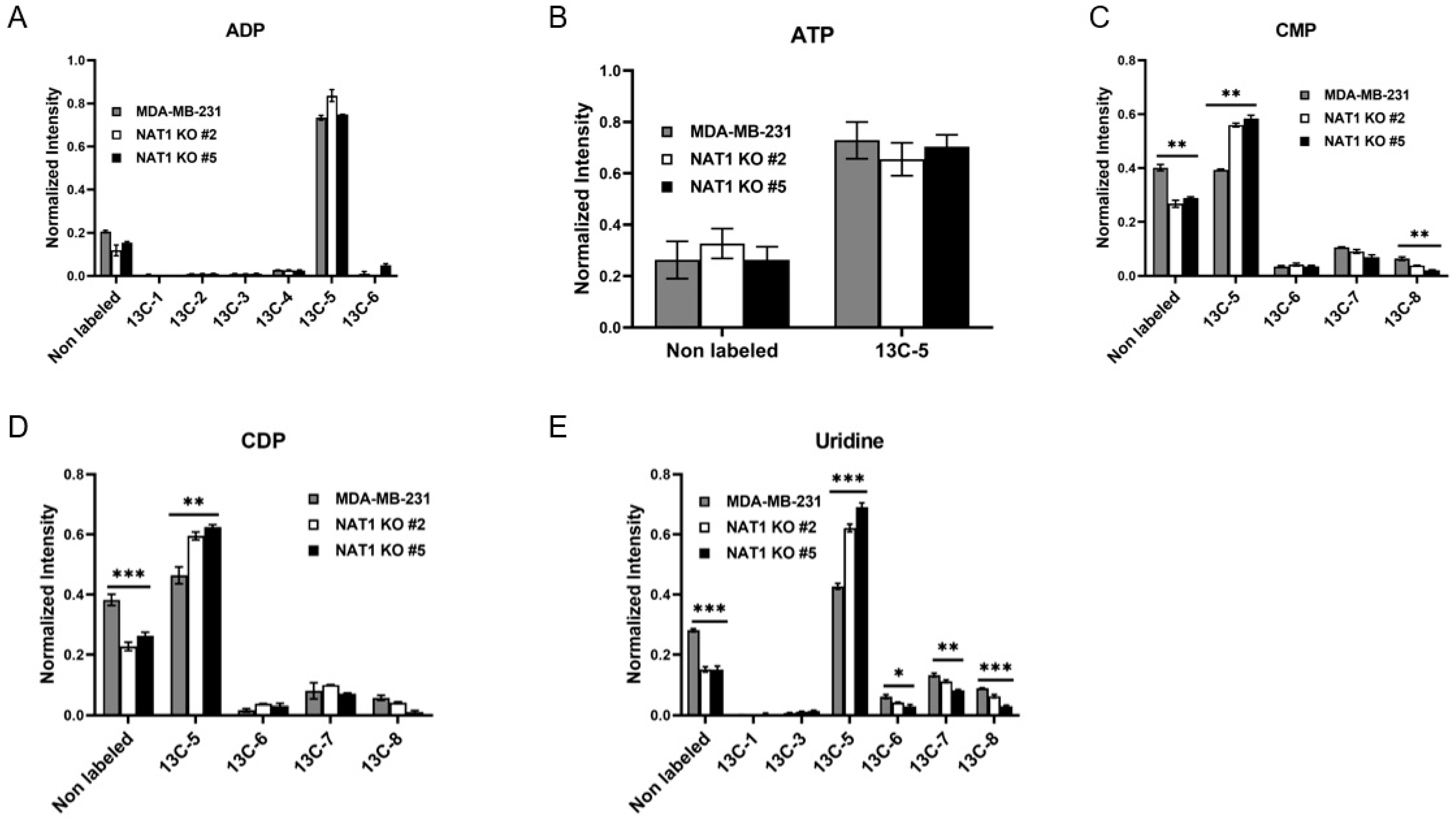 Genes 14 00843 g006