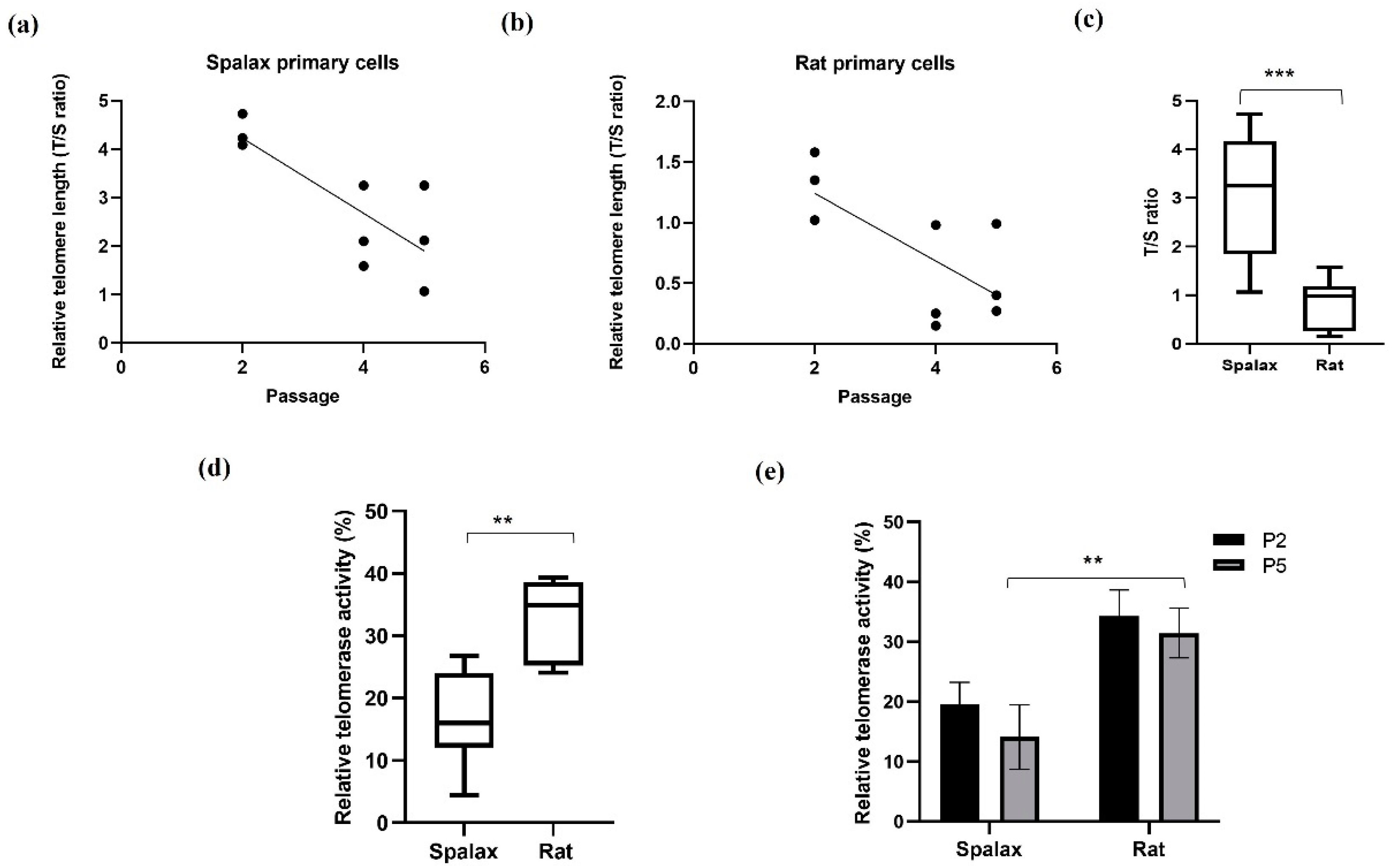 Genes 14 00845 g001 Genes 14 00845 g001