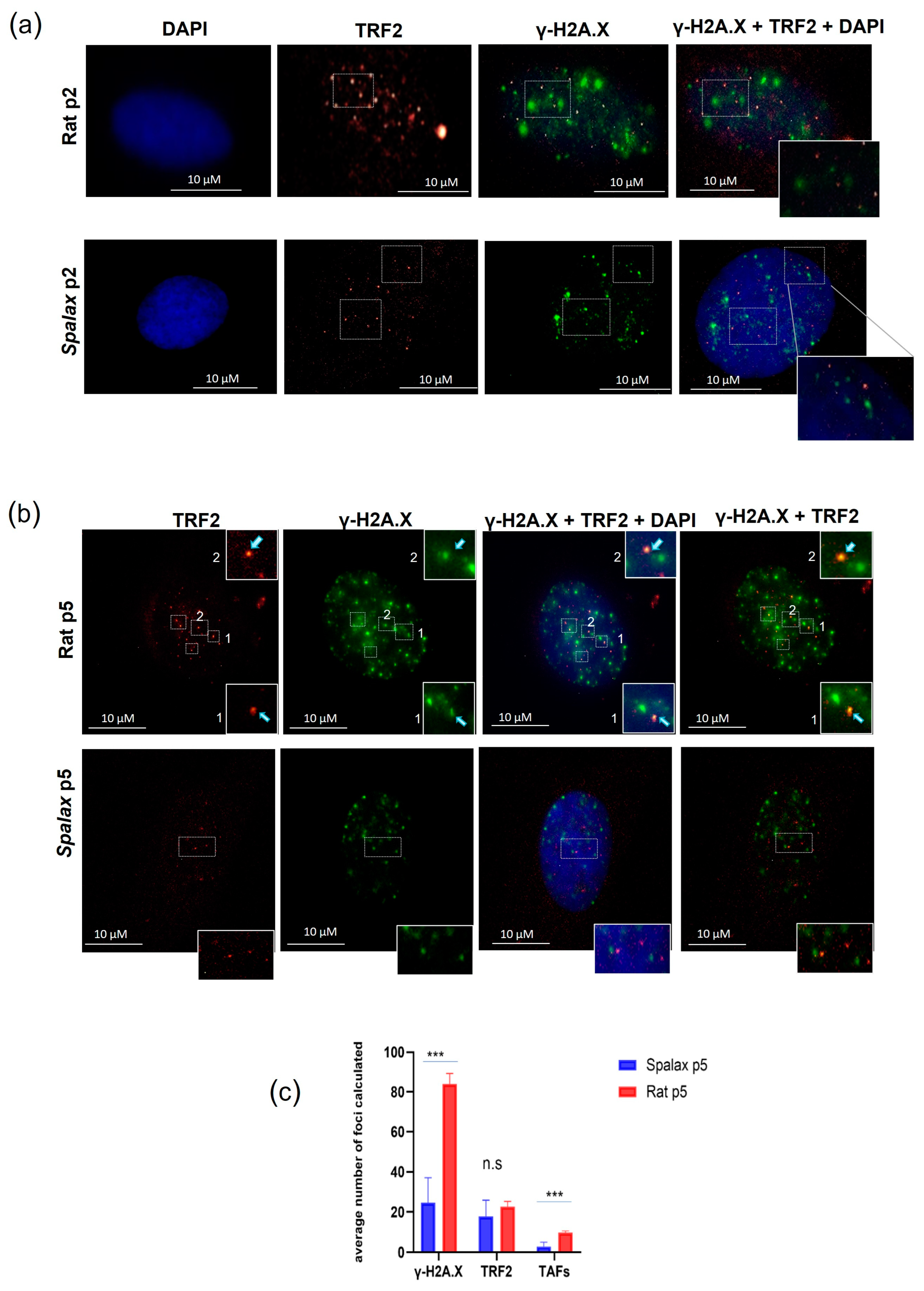 Genes 14 00845 g002 Genes 14 00845 g002