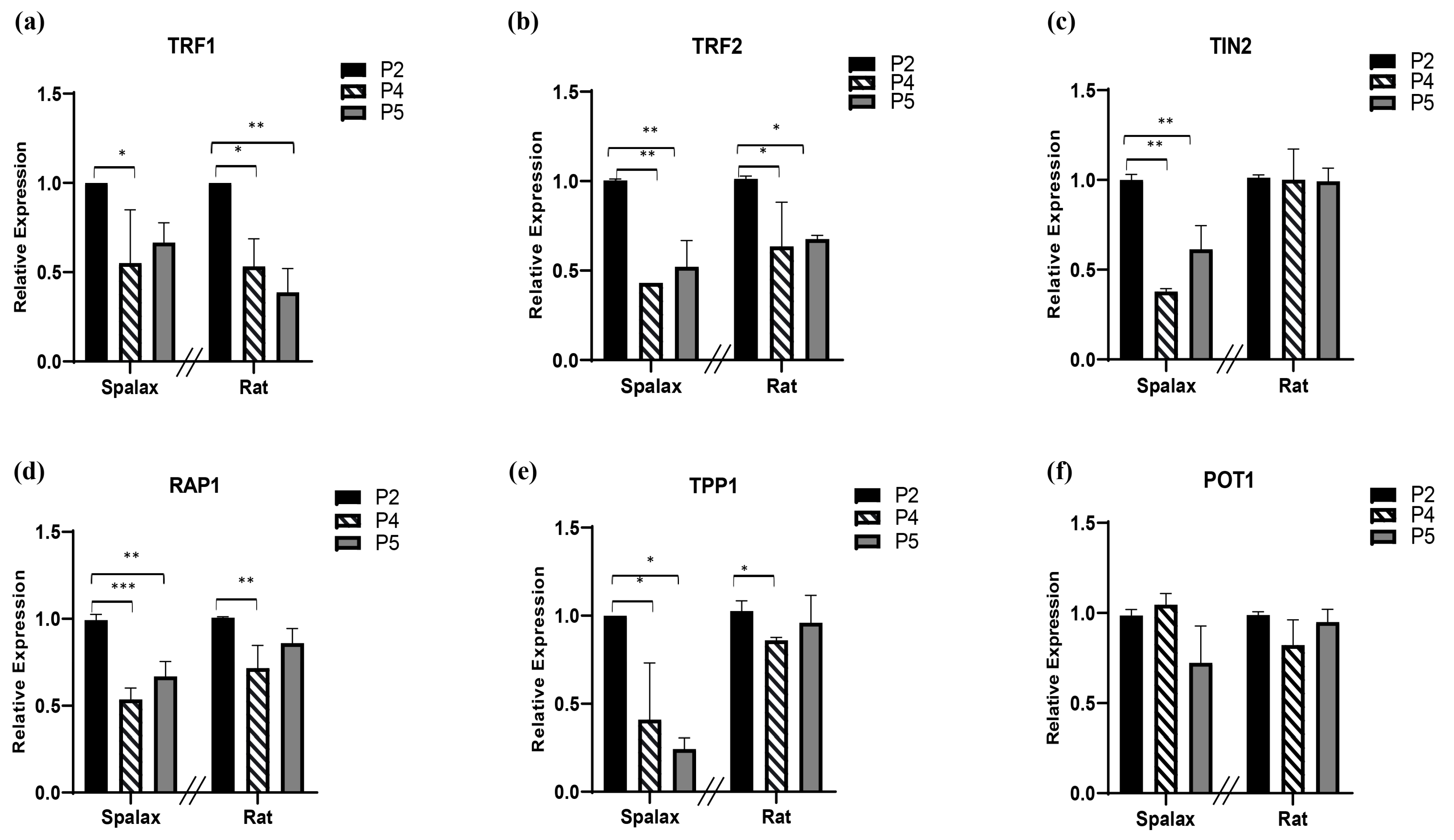 Genes 14 00845 g003 Genes 14 00845 g003