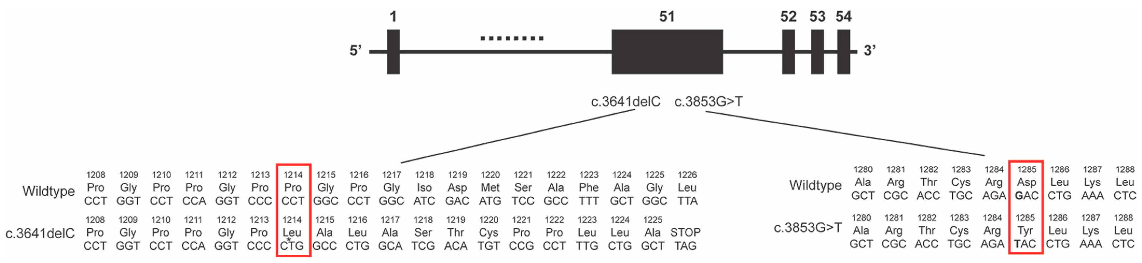 Genes 14 00847 g005