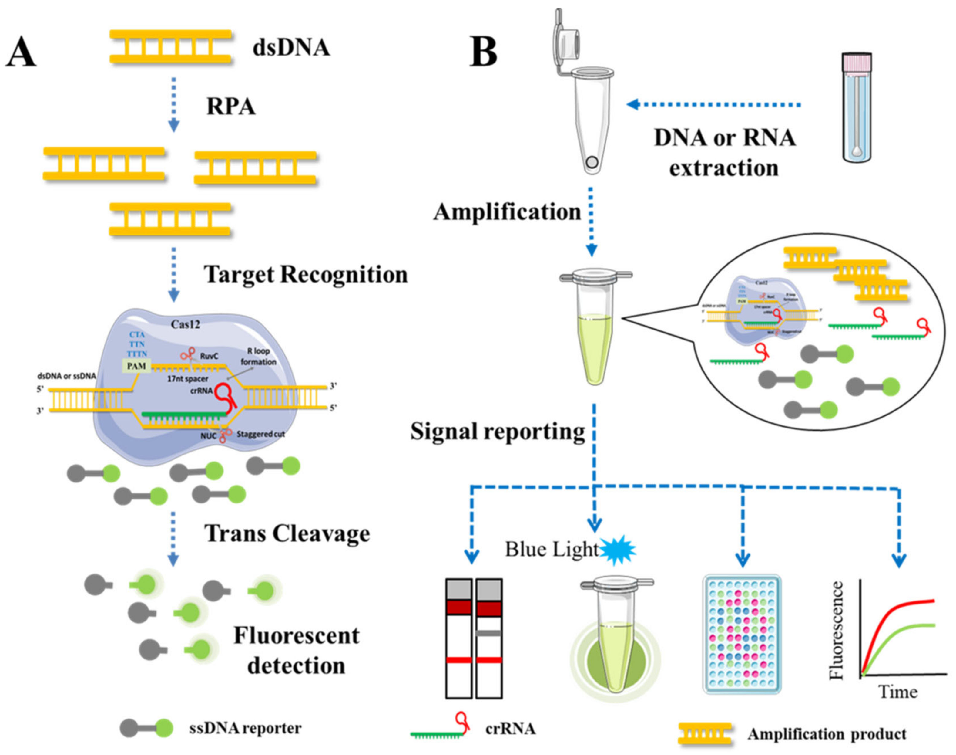 Genes 14 00850 g004