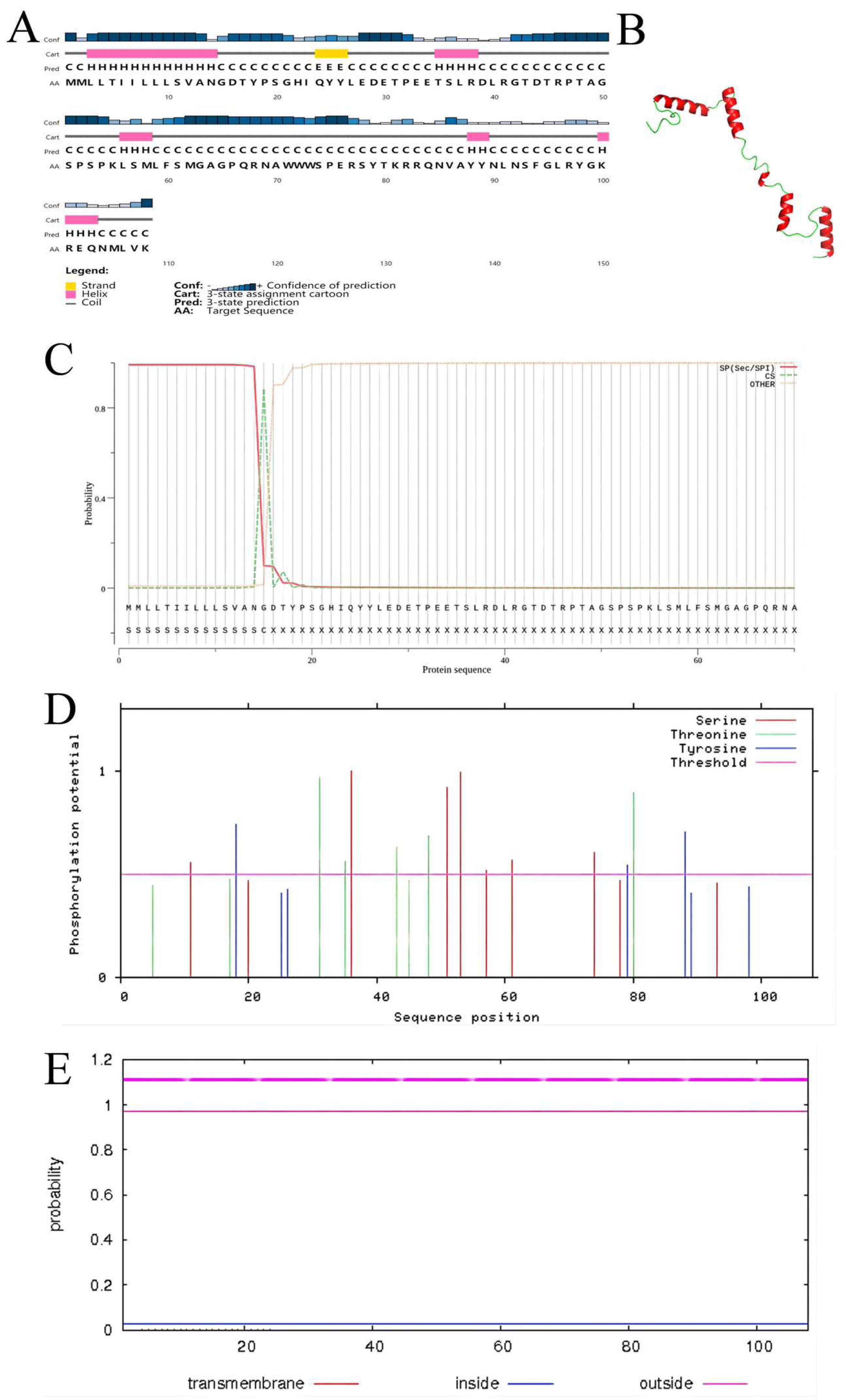 Genes 14 00862 g003 Genes 14 00862 g003