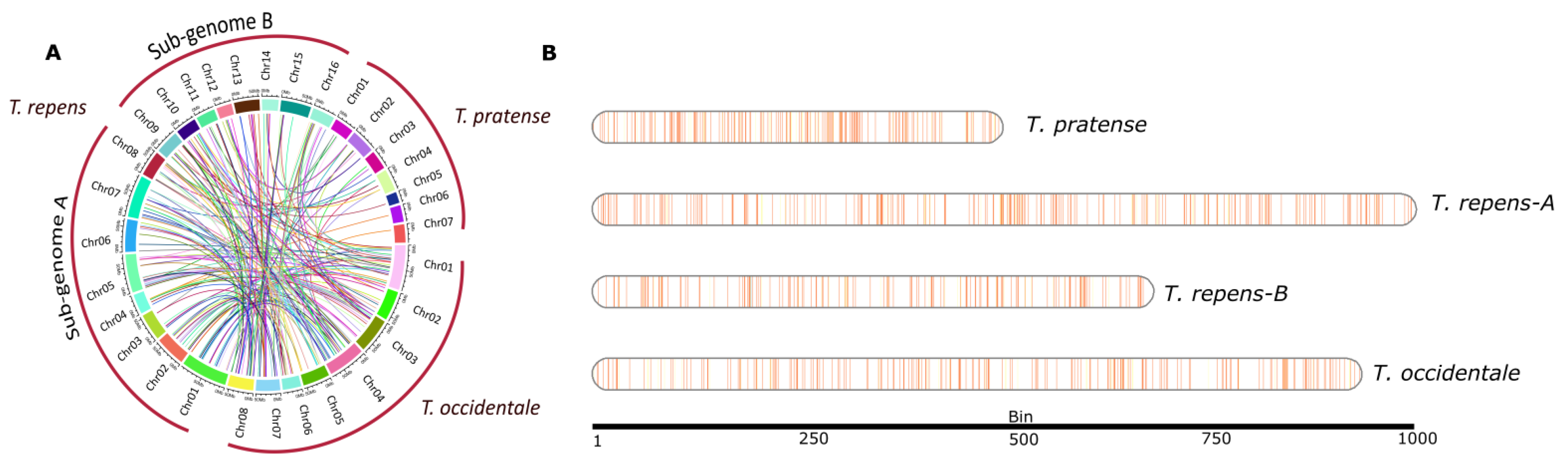 Genes 14 00867 g002 Genes 14 00867 g002