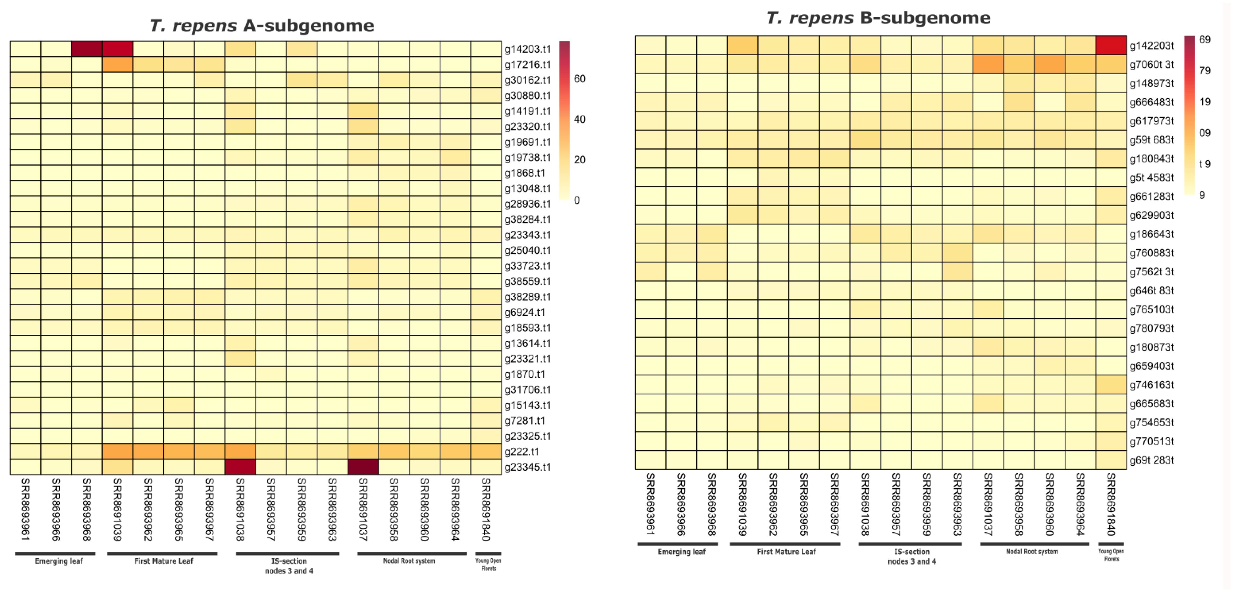 Genes 14 00867 g006 Genes 14 00867 g006