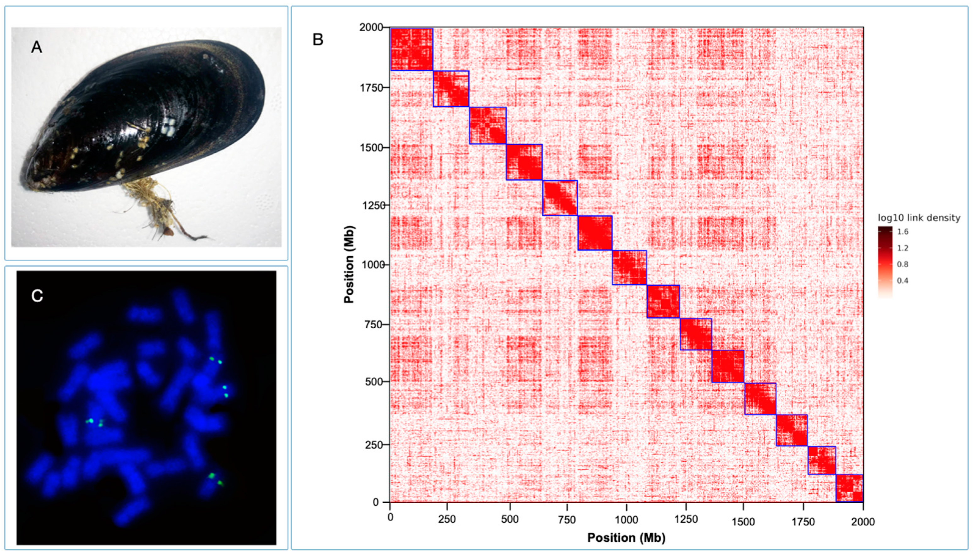 Genes 14 00876 g001
