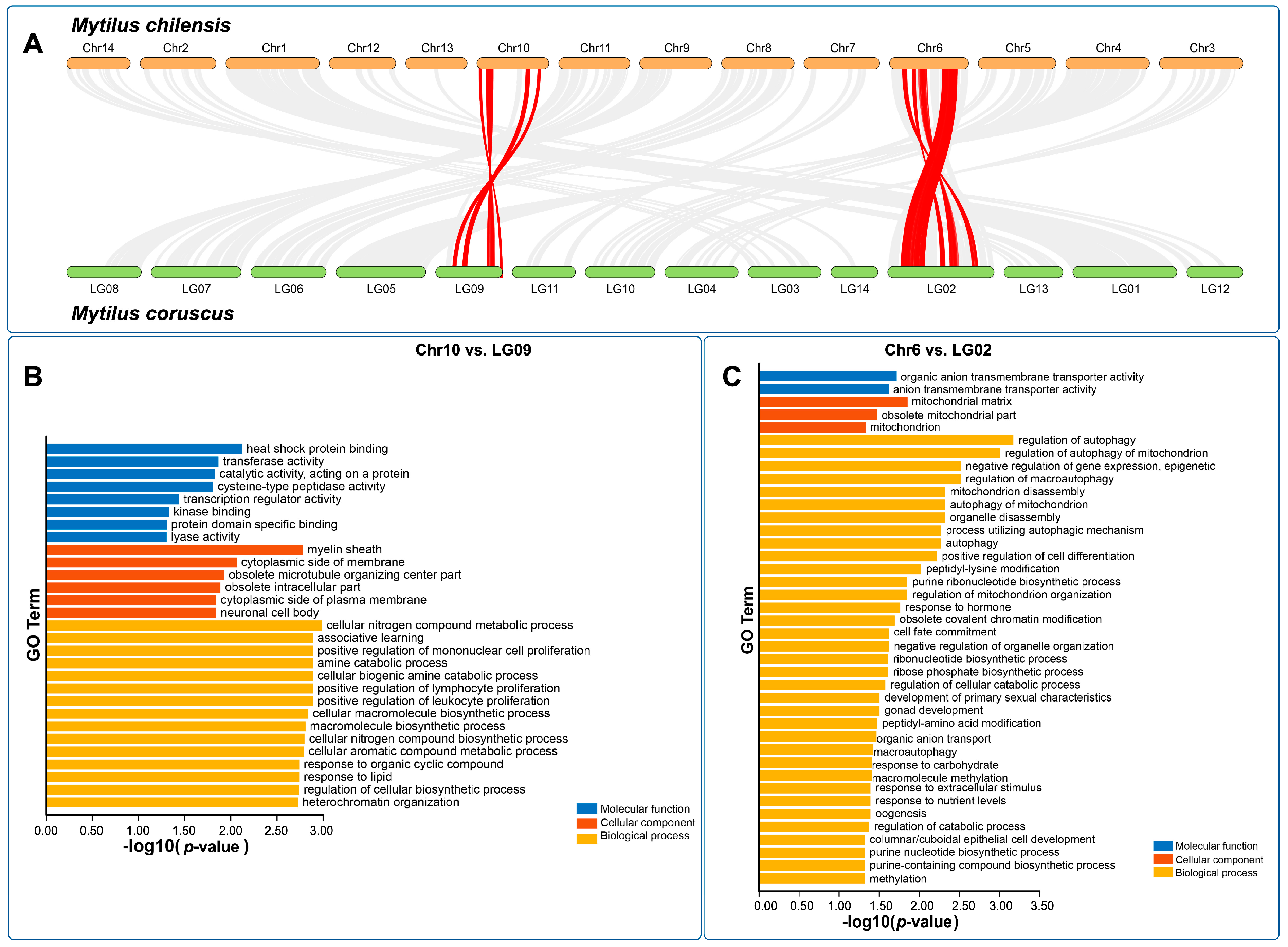 Genes 14 00876 g003