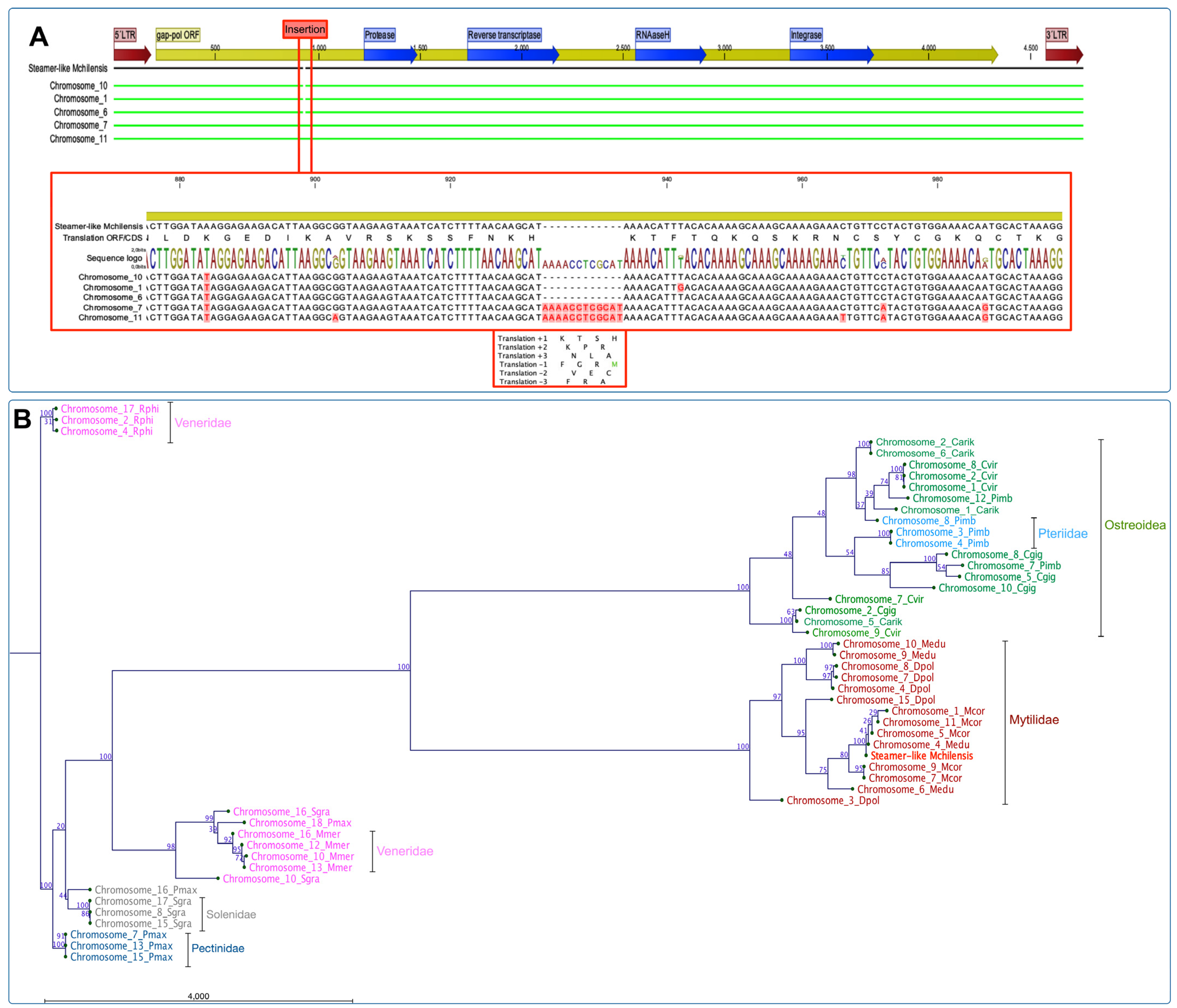 Genes 14 00876 g004a