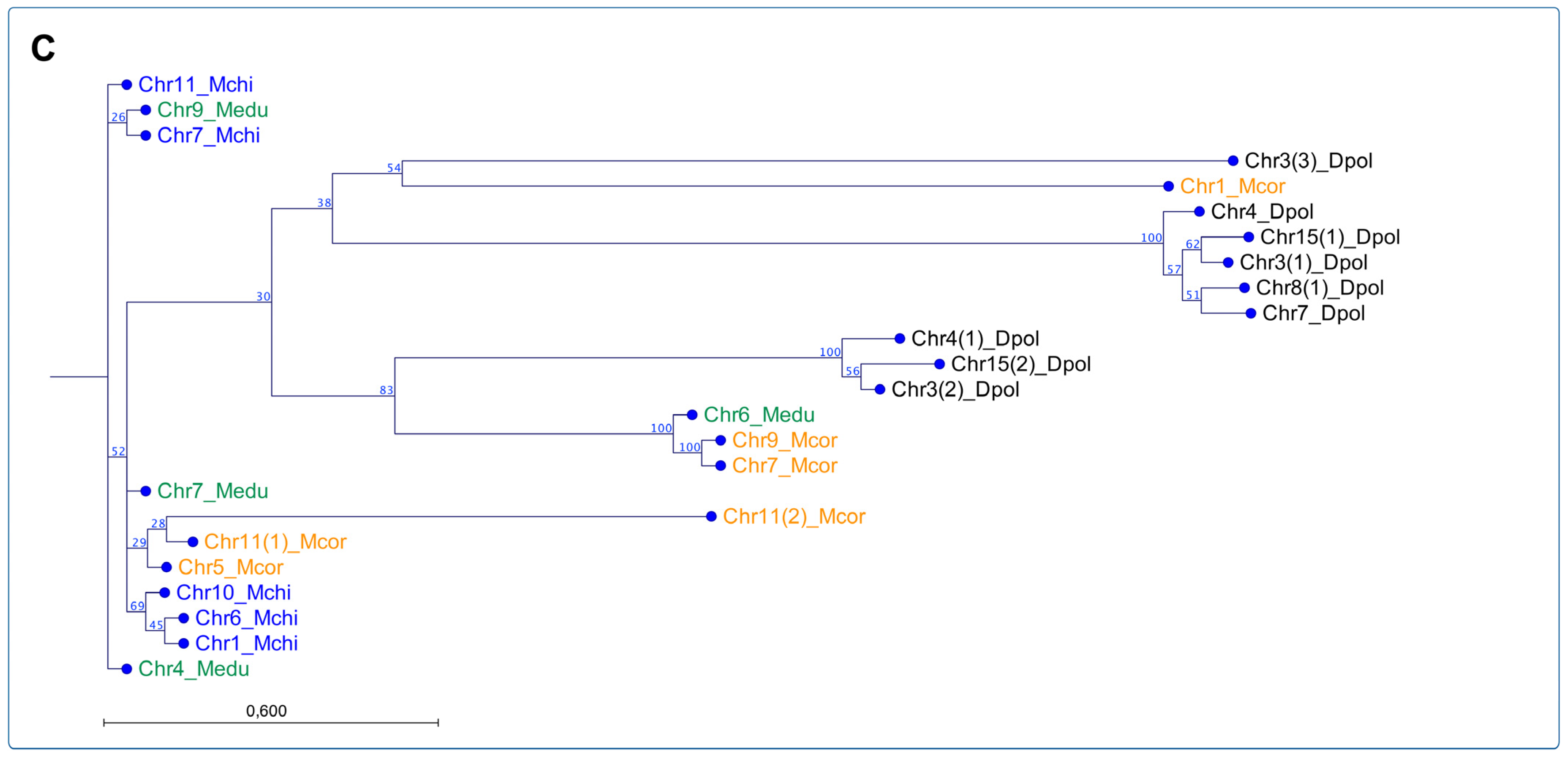 Genes 14 00876 g004b