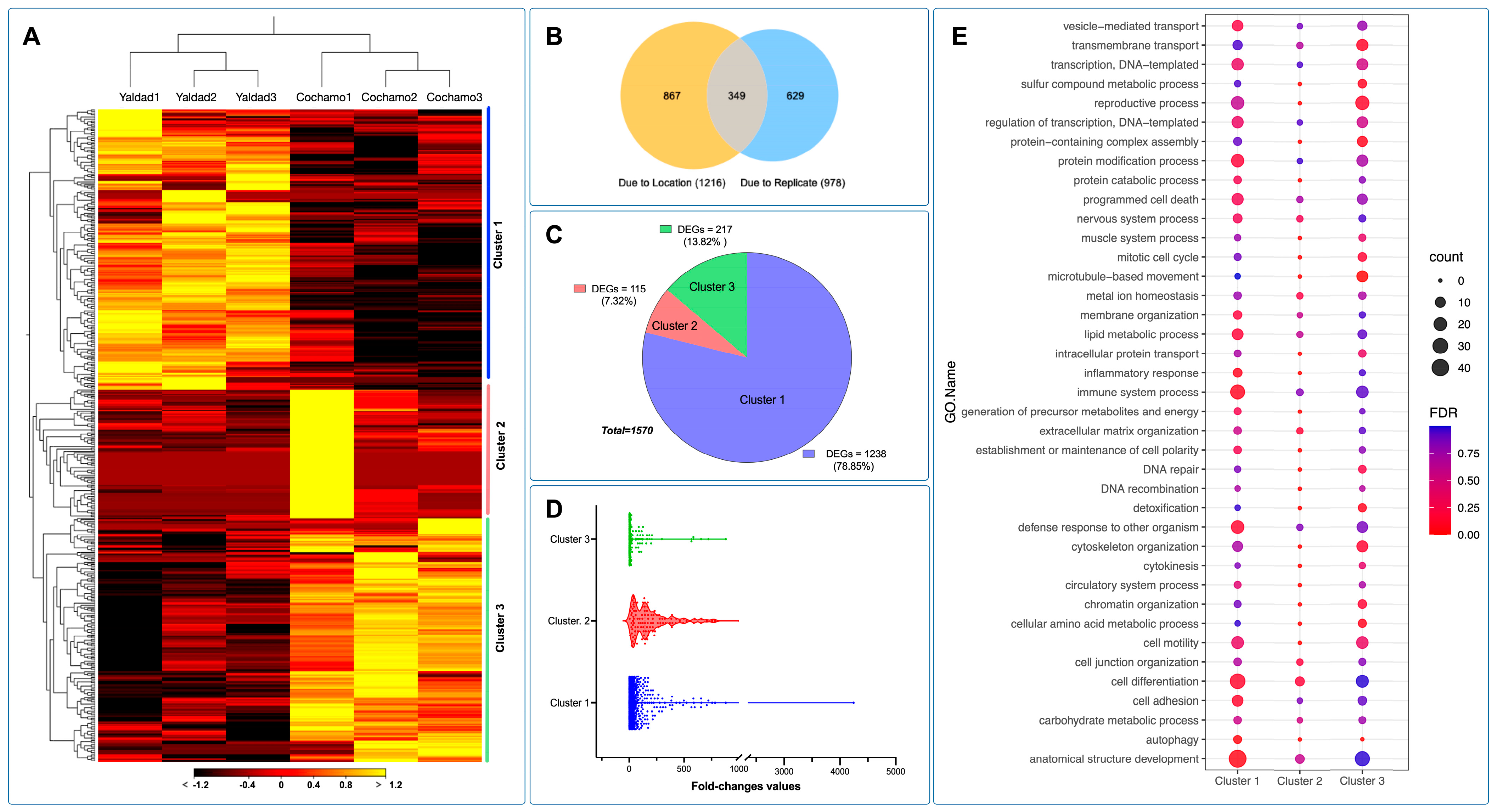 Genes 14 00876 g006
