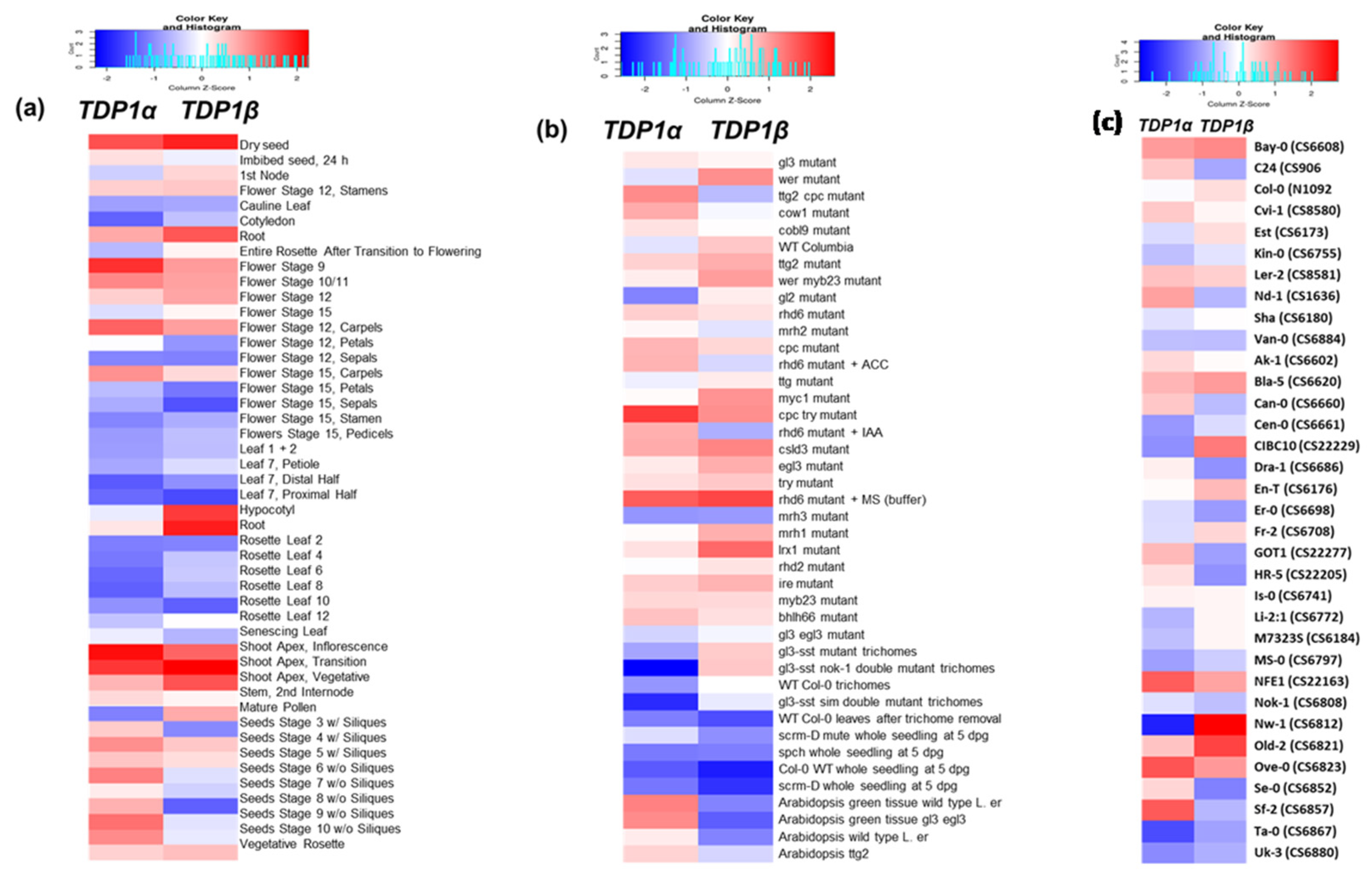 Genes 14 00884 g001