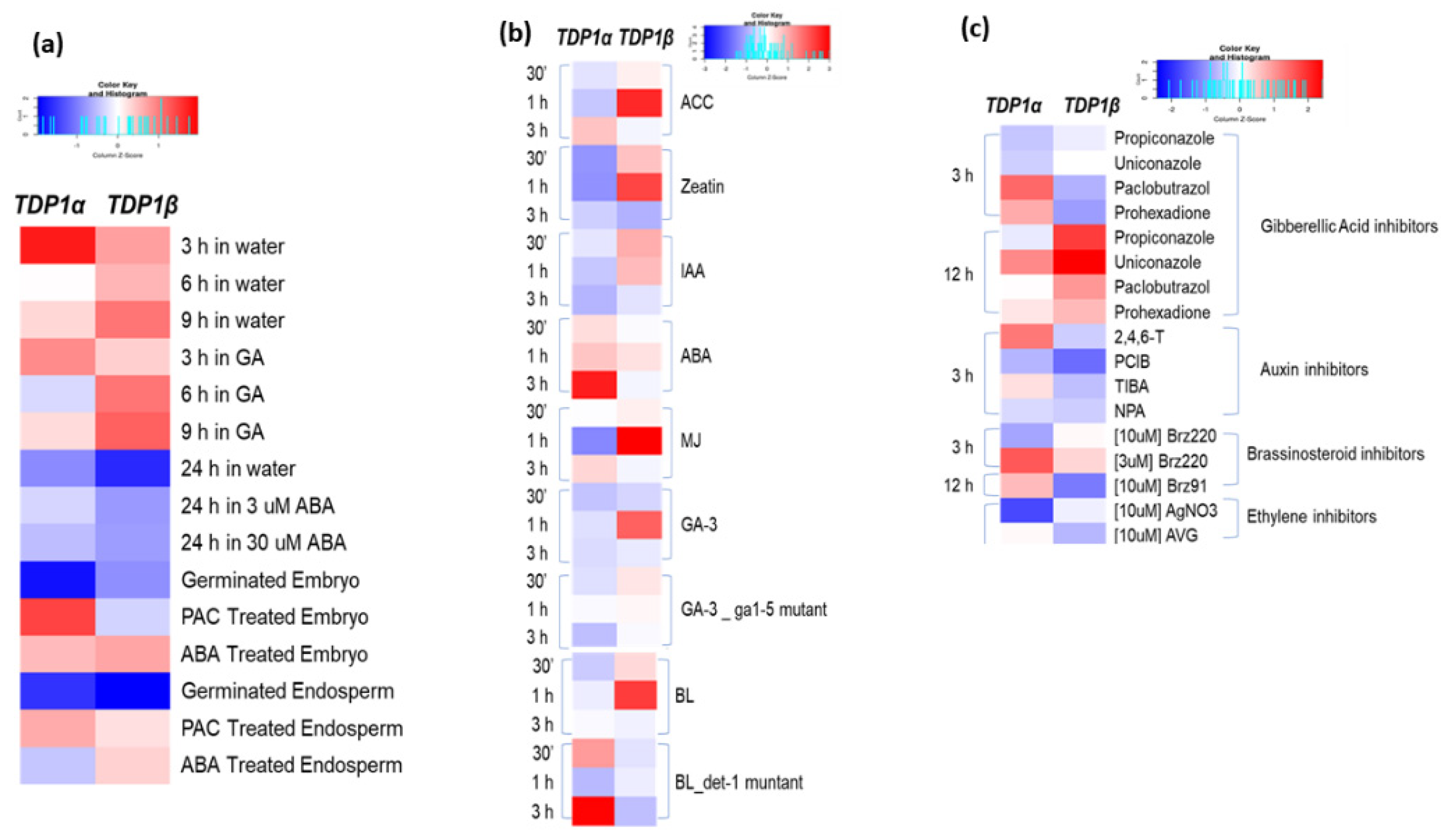 Genes 14 00884 g002