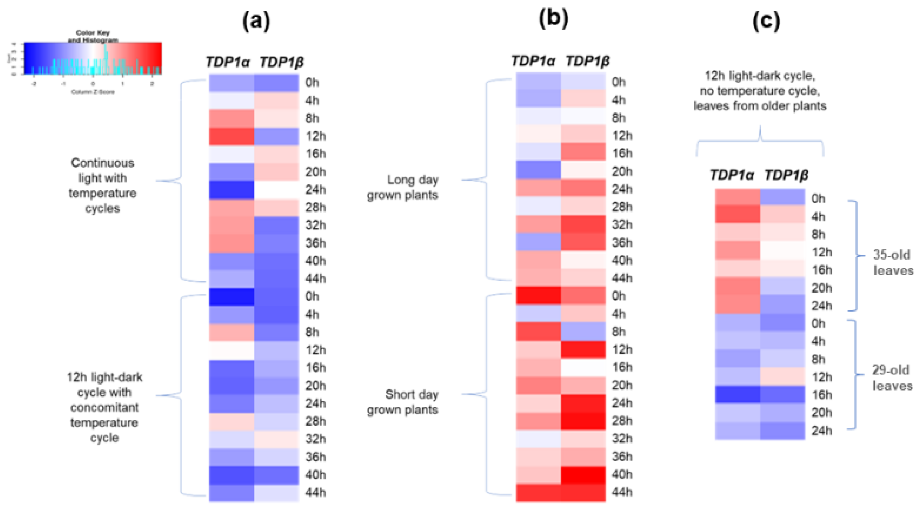 Genes 14 00884 g003