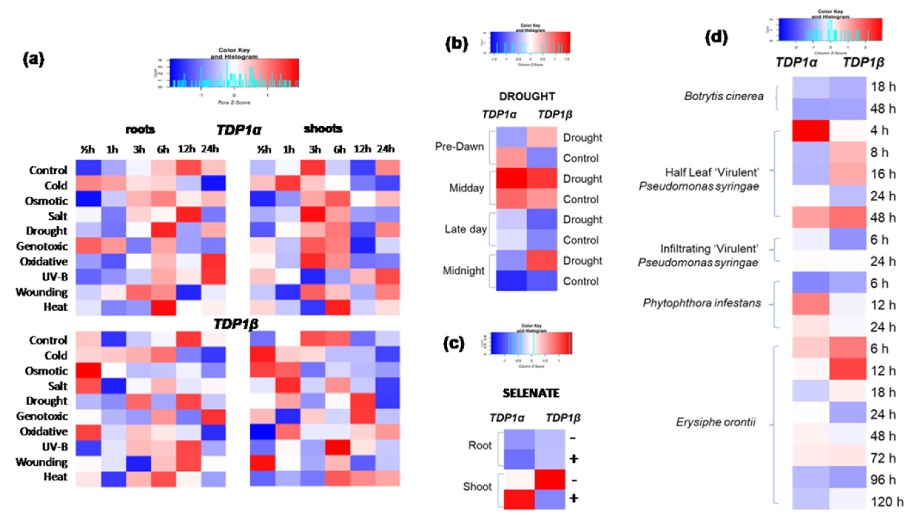 Genes 14 00884 g004
