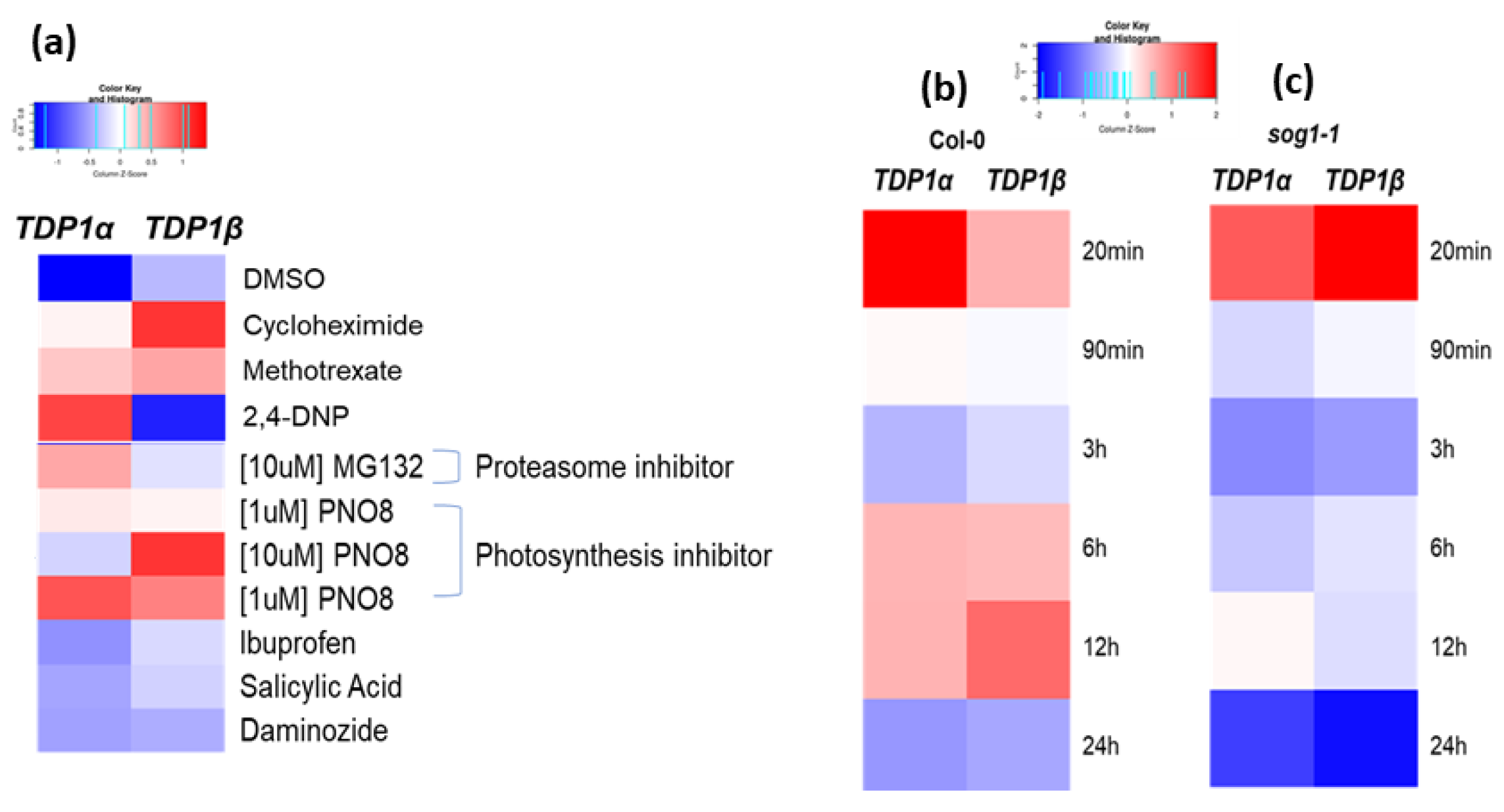 Genes 14 00884 g005