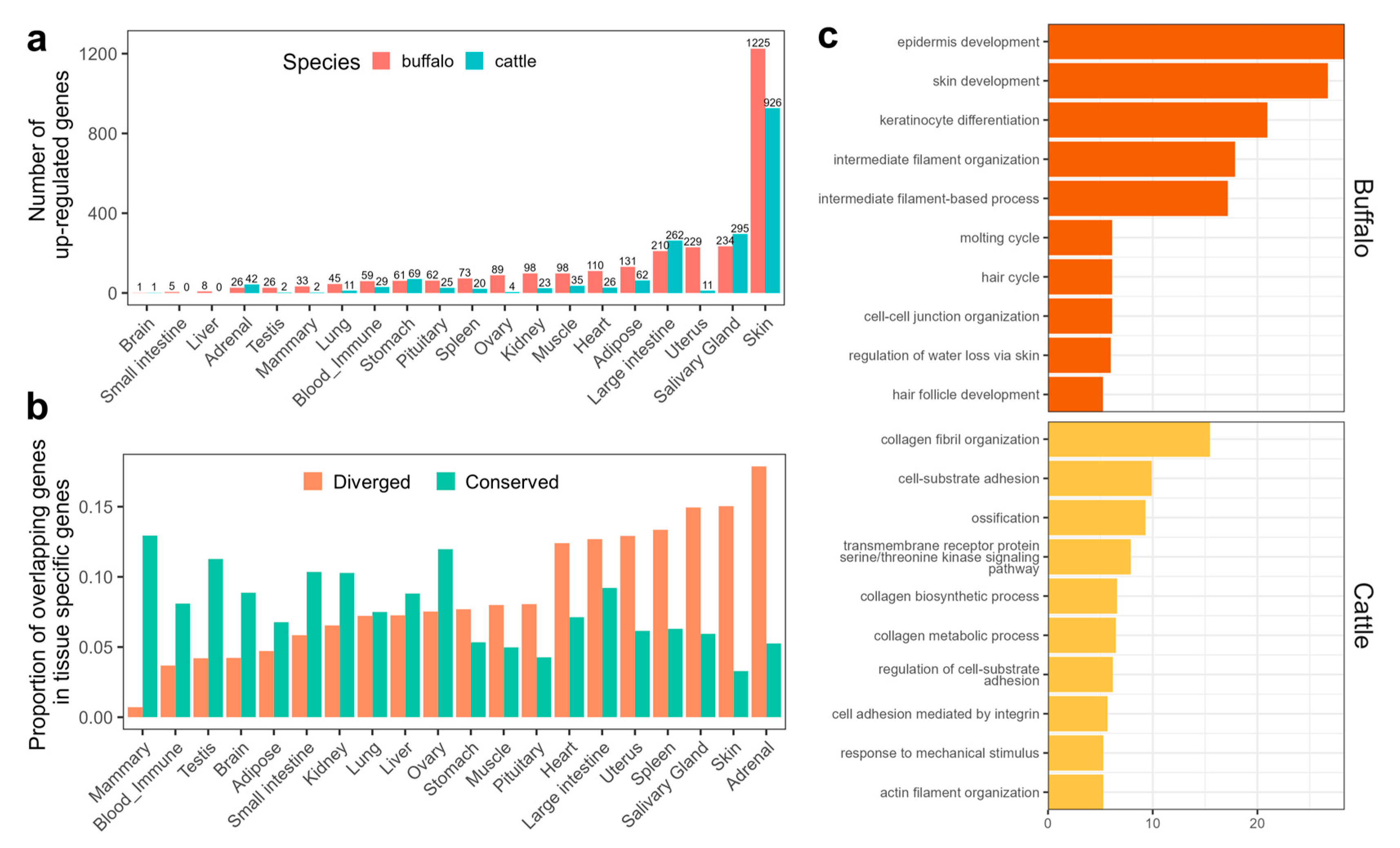 Genes 14 00890 g005 Genes 14 00890 g005