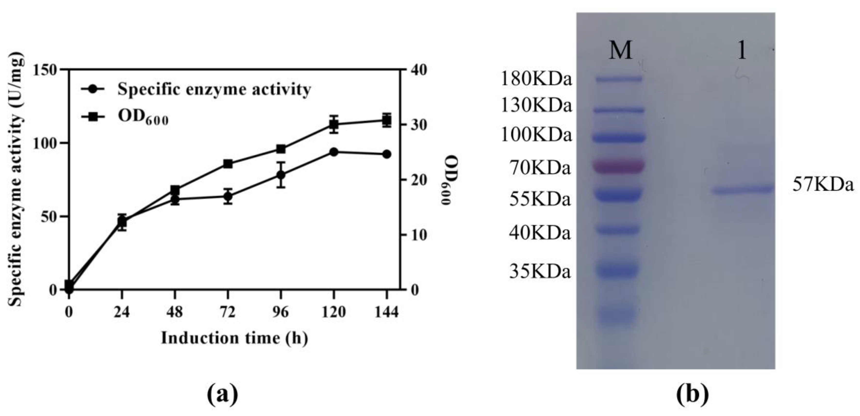 Genes 14 00897 g001 Genes 14 00897 g001