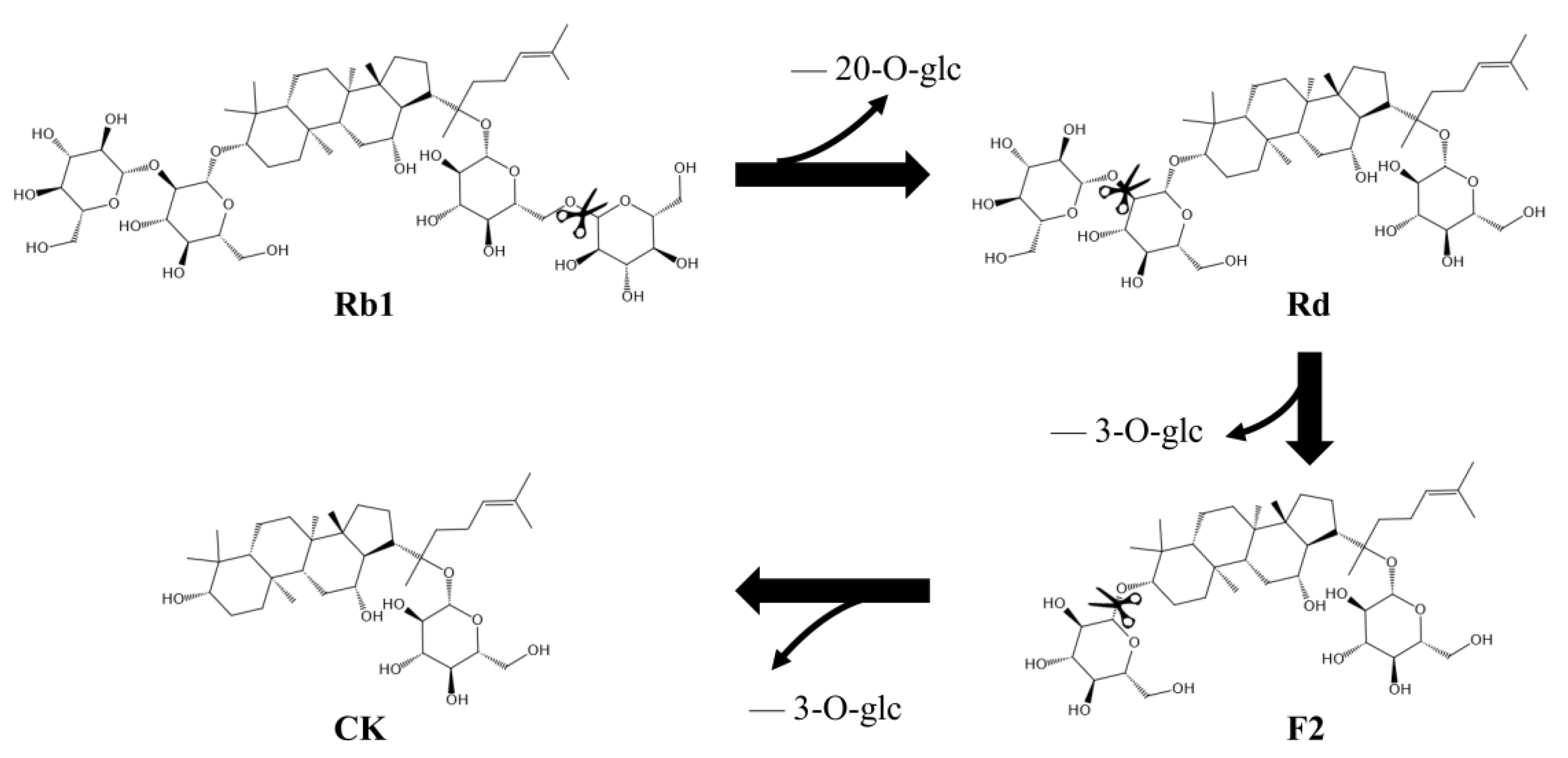 Genes 14 00897 g006 Genes 14 00897 g006