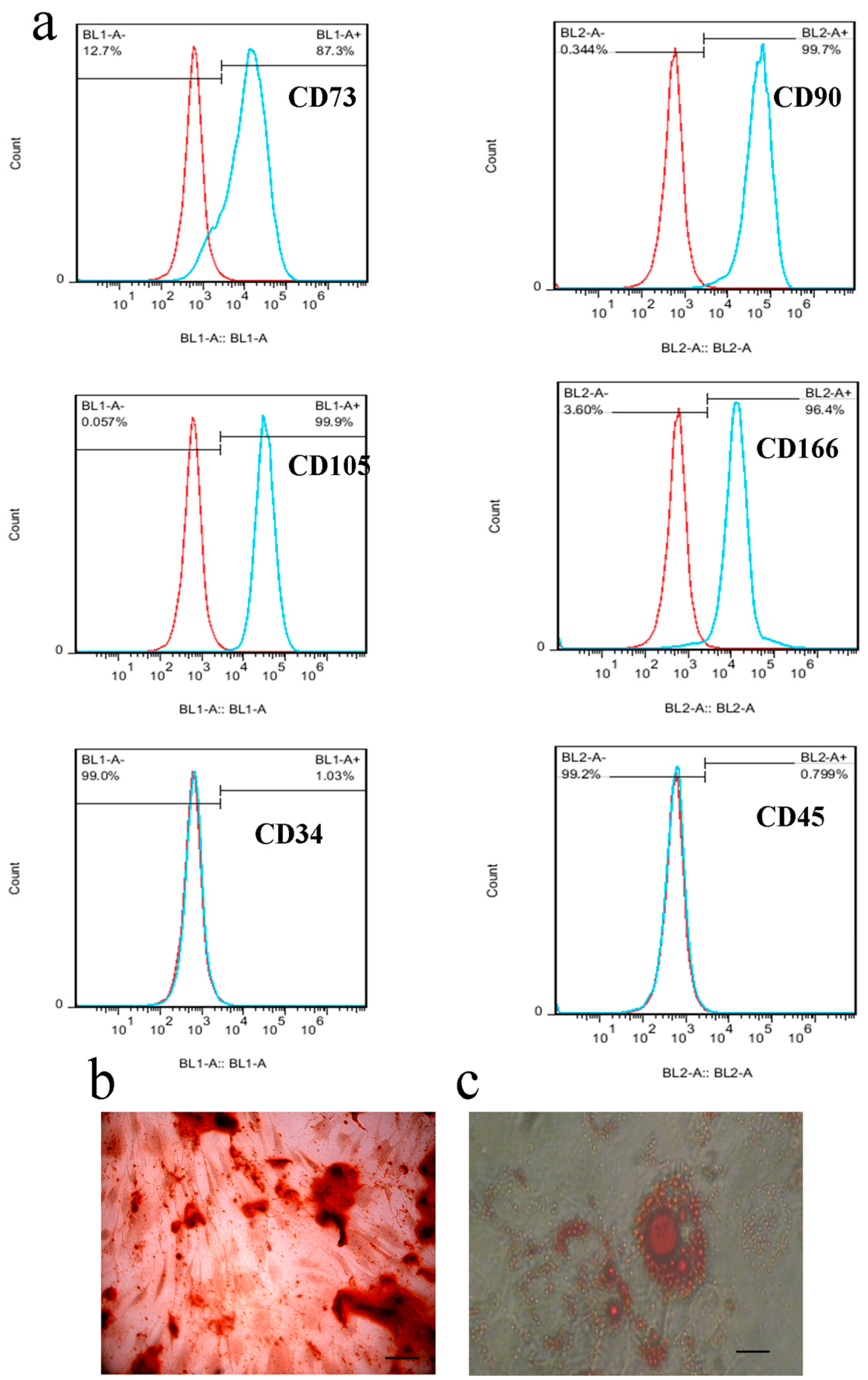Genes 14 00909 g002