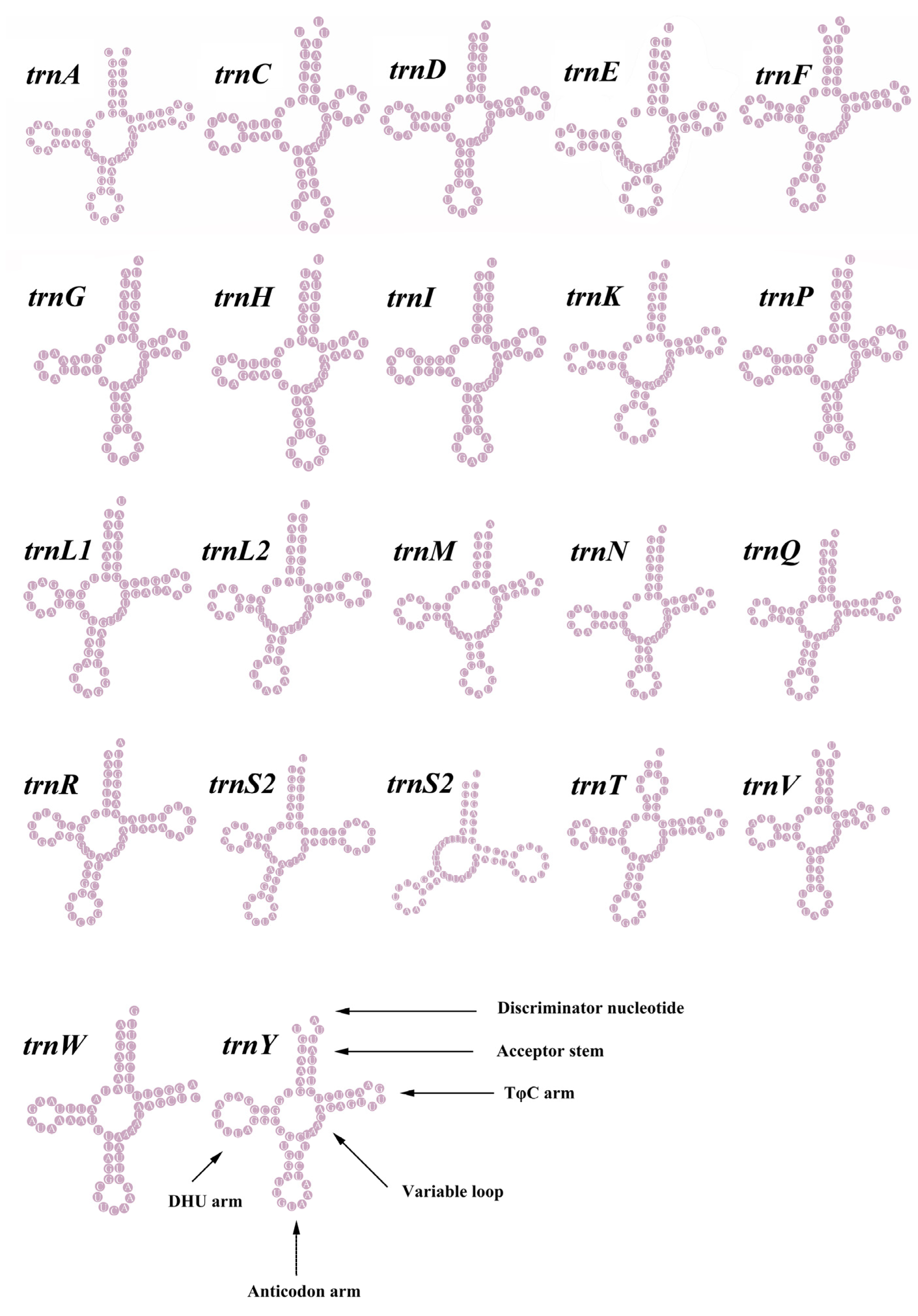Genes 14 00910 g004 Genes 14 00910 g004