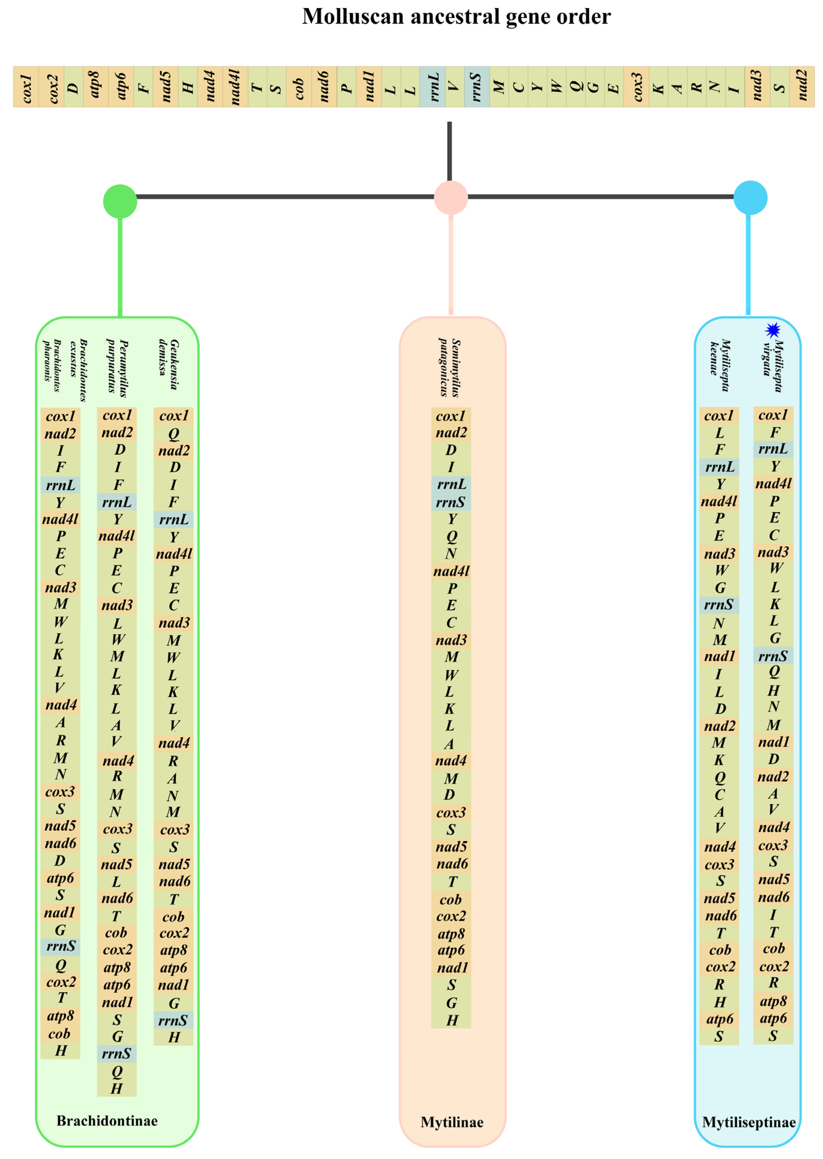 Genes 14 00910 g006 Genes 14 00910 g006
