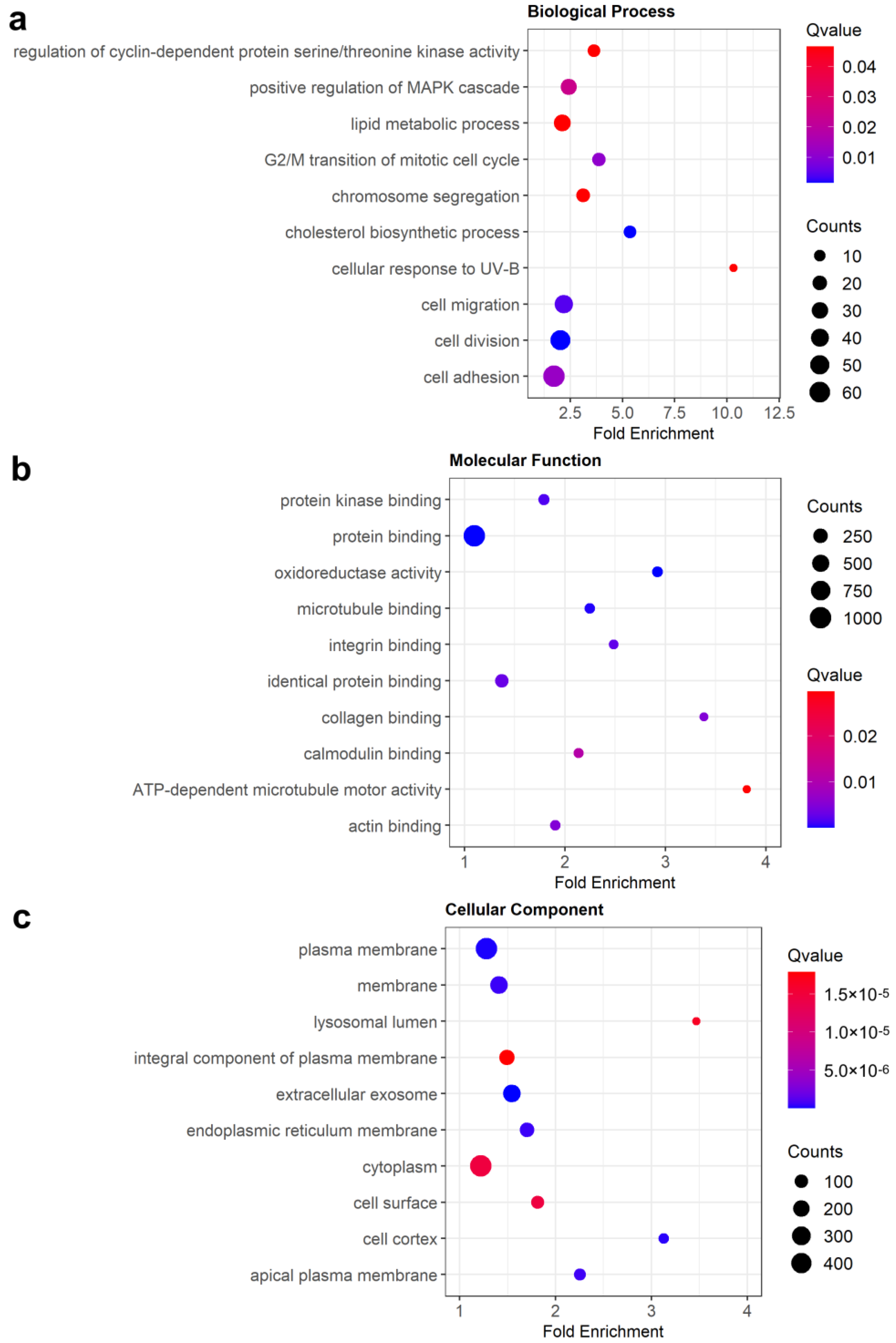 Genes 14 00916 g003