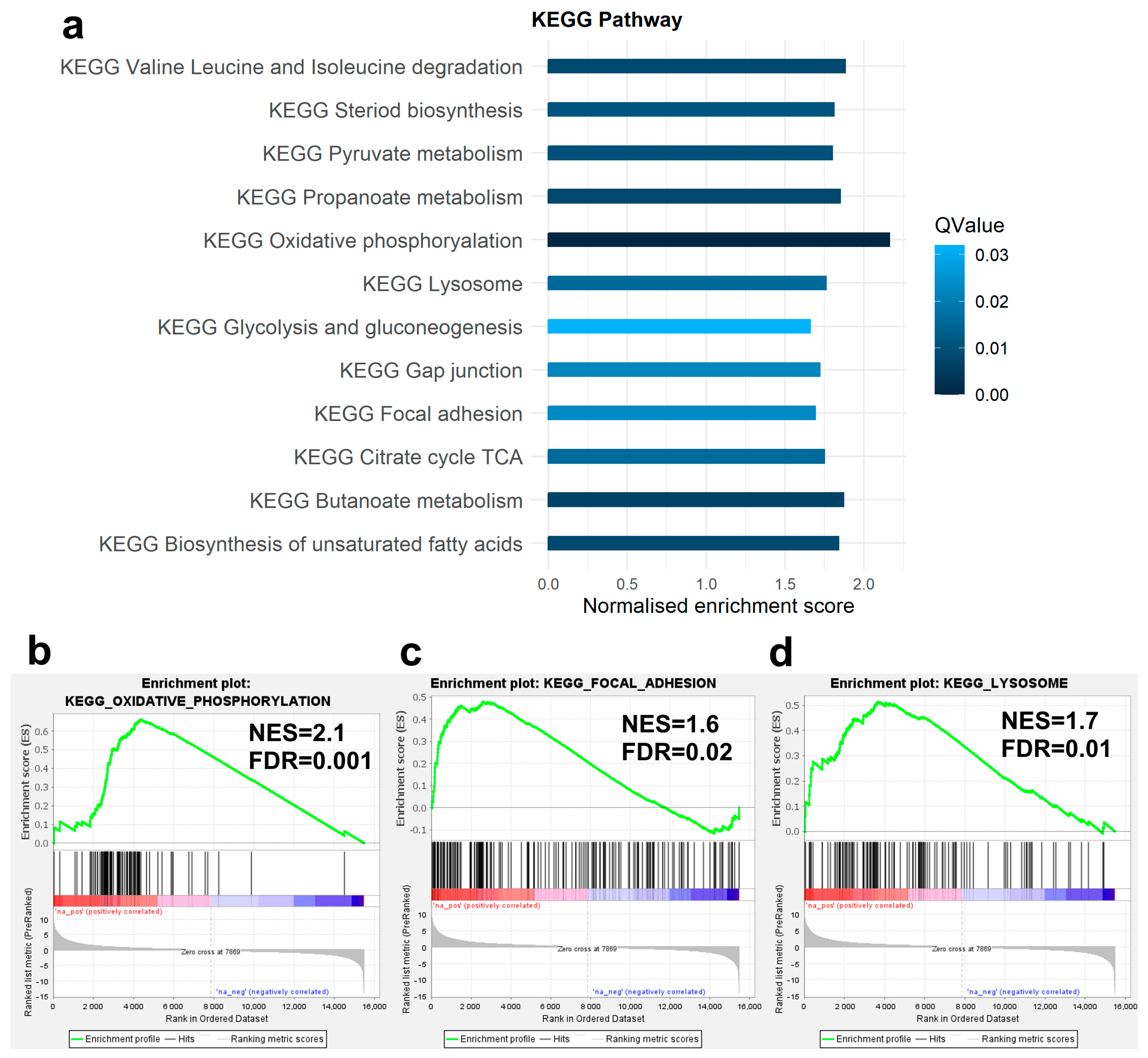Genes 14 00916 g004