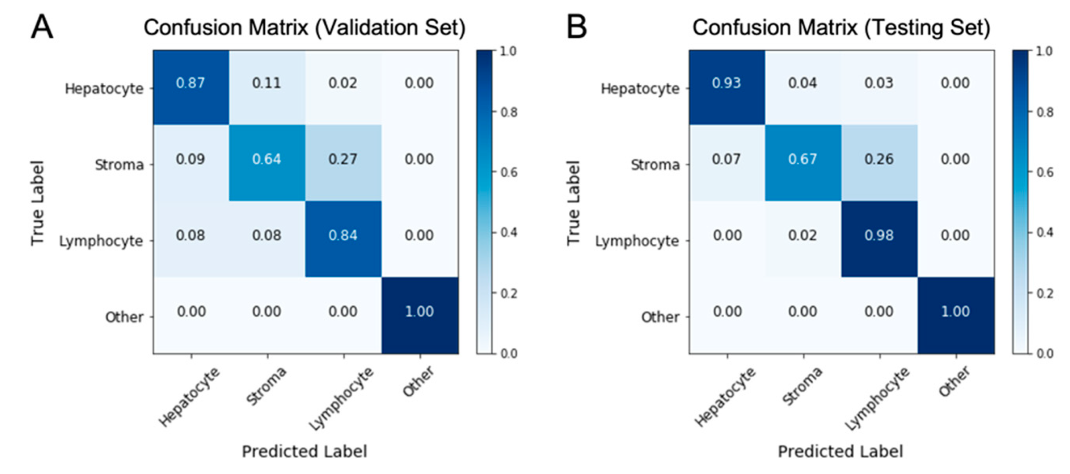 Genes 14 00921 g003 Genes 14 00921 g003