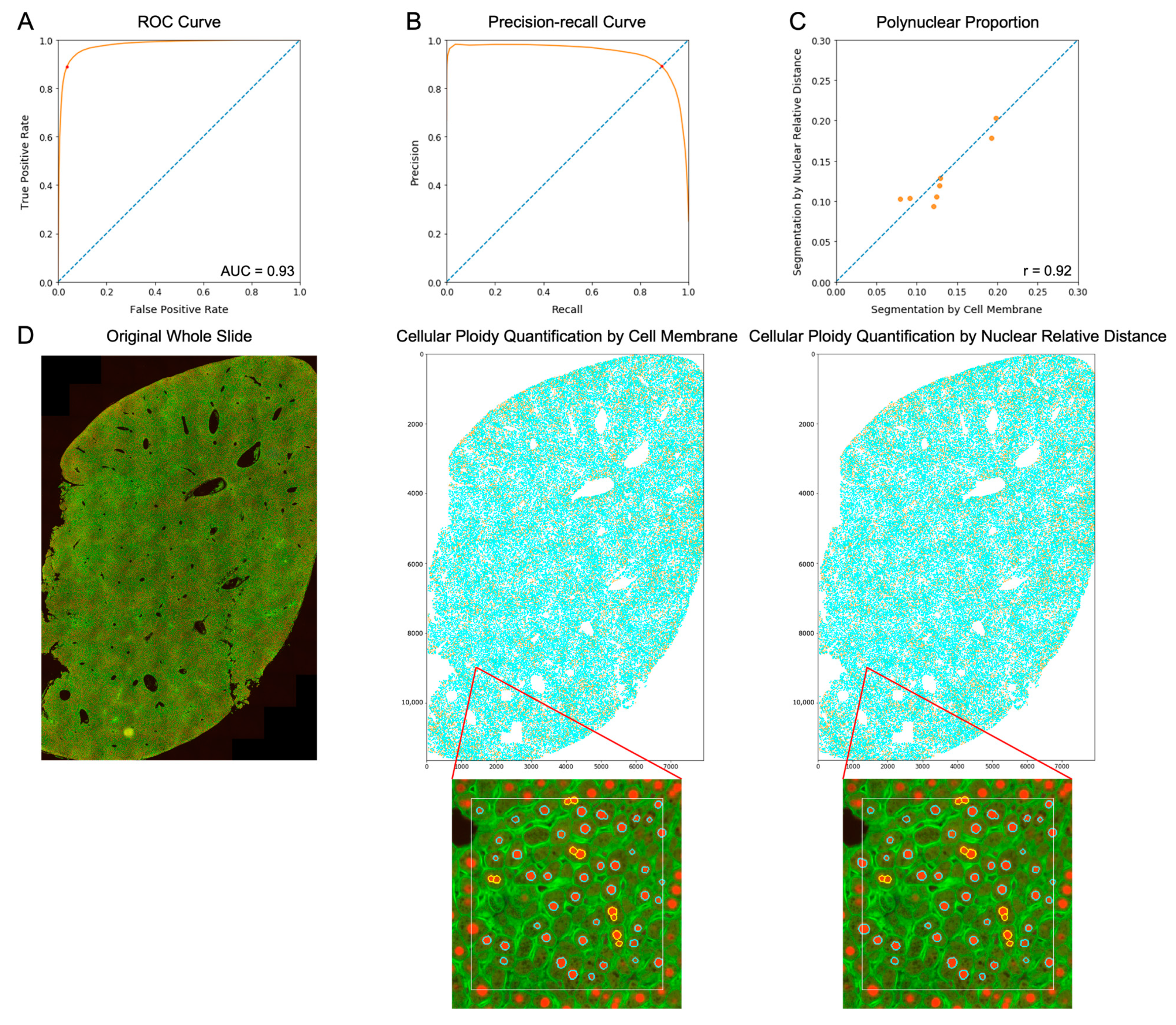 Genes 14 00921 g004 Genes 14 00921 g004